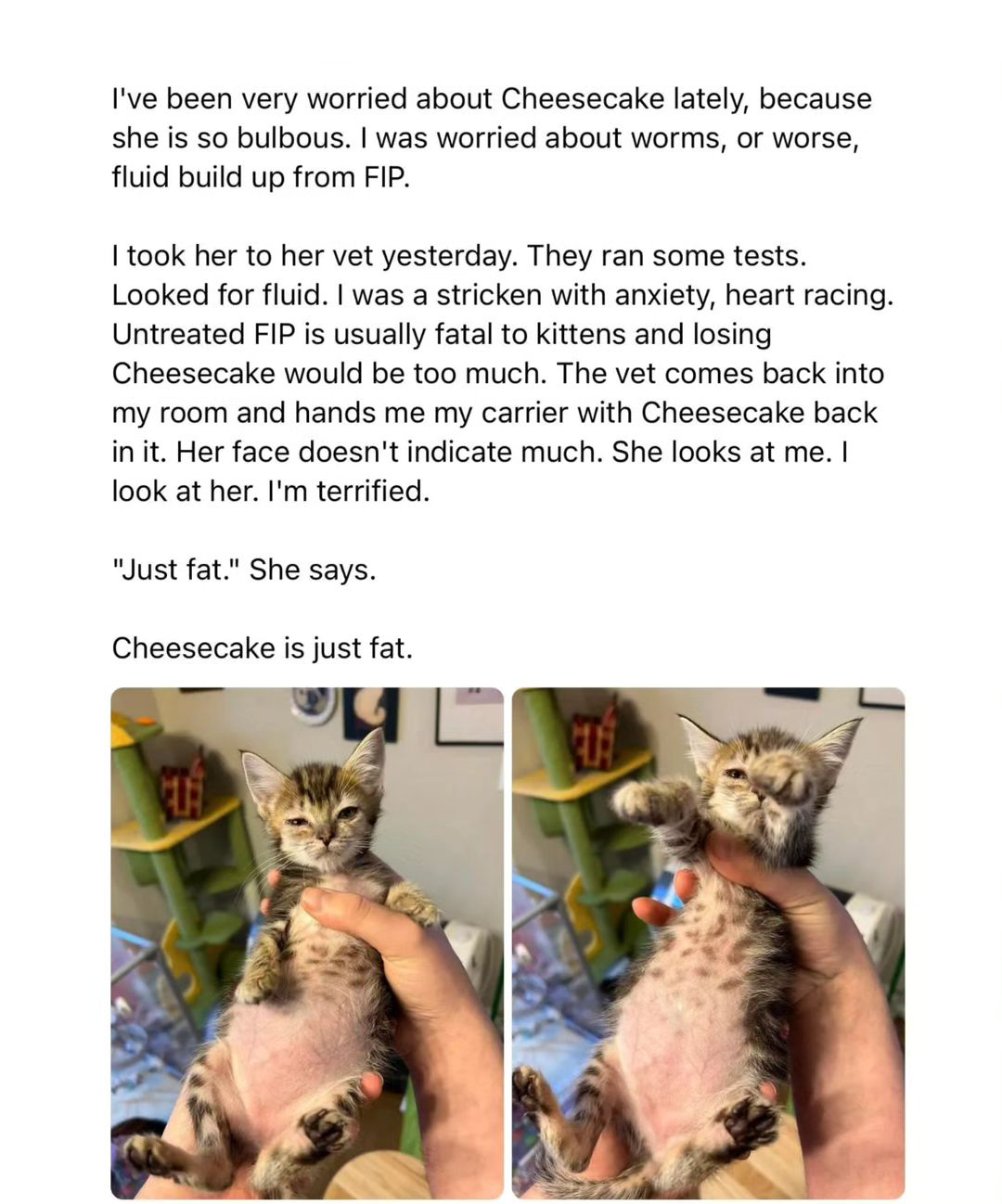 Best Cheesecake Posts Reddit