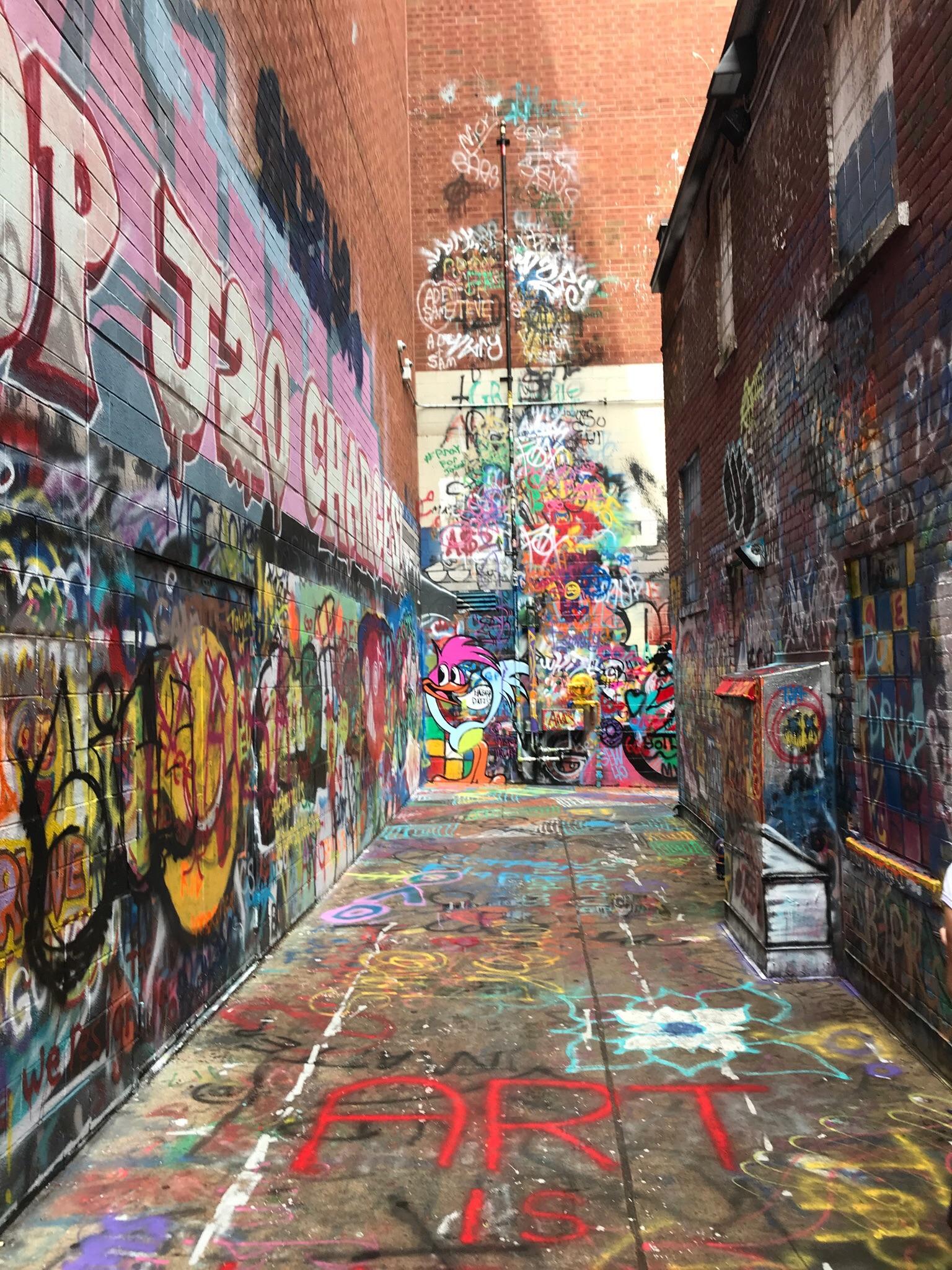 The Alley, Ann Arbor Michigan r/Michigan
