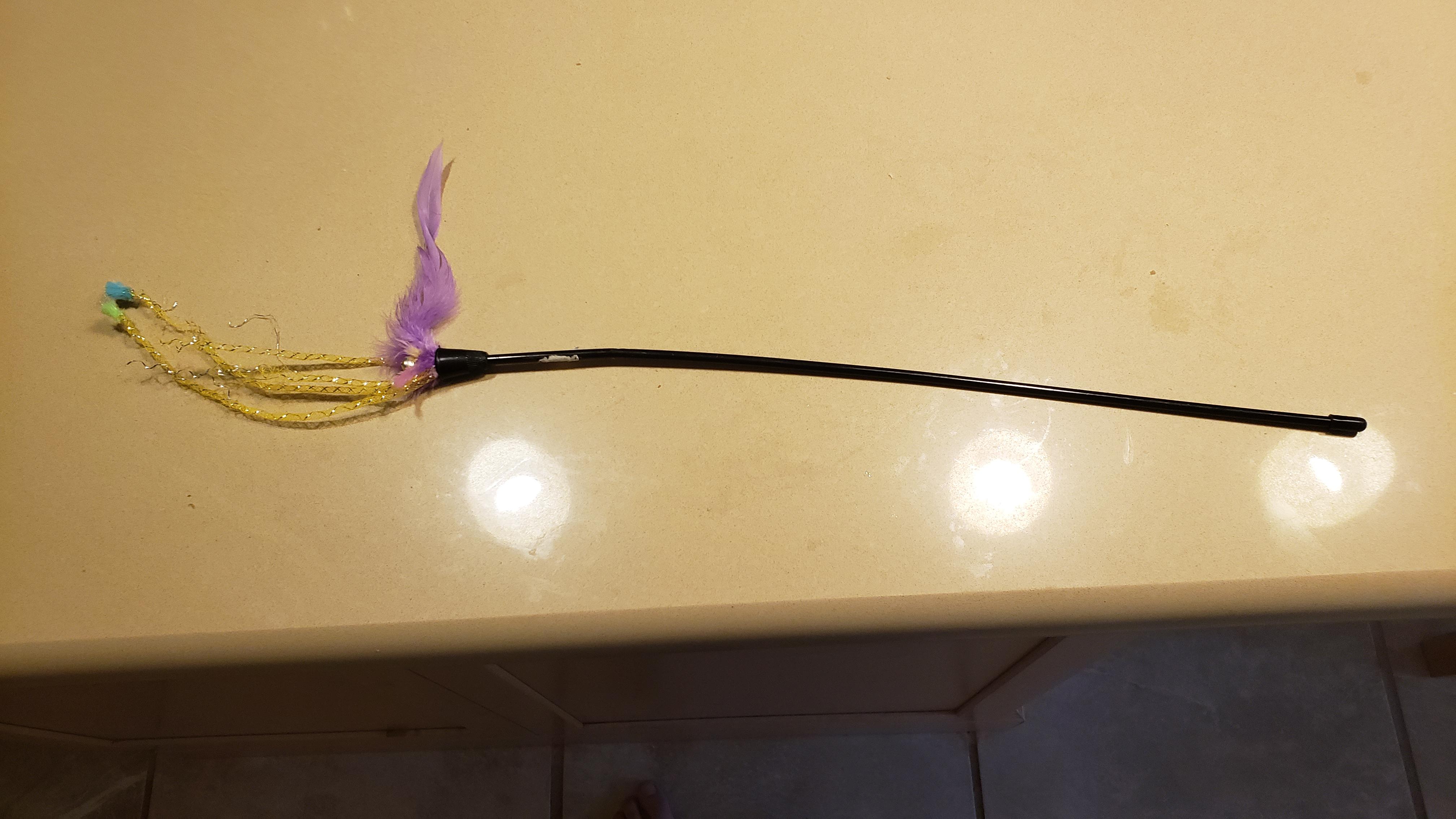 Help me find my cat's favorite toy that he destroyed. It should have a