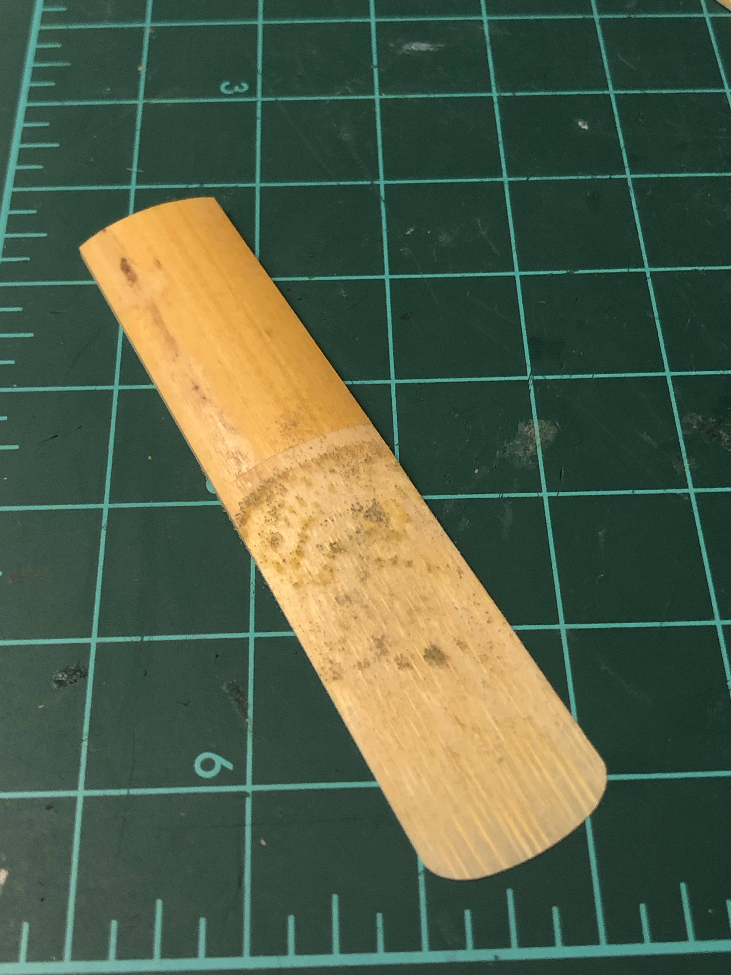 How to prevent this kind of mold growing on reeds? (More info in