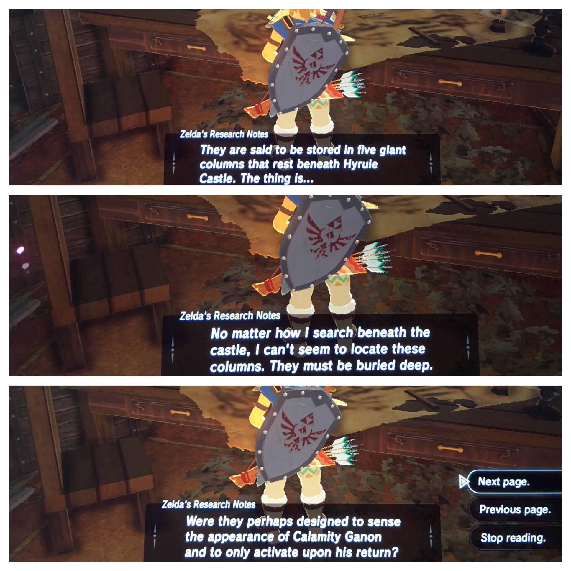 Found Zelda’s Diary in Hyrule Castle and mentions columns buried deep