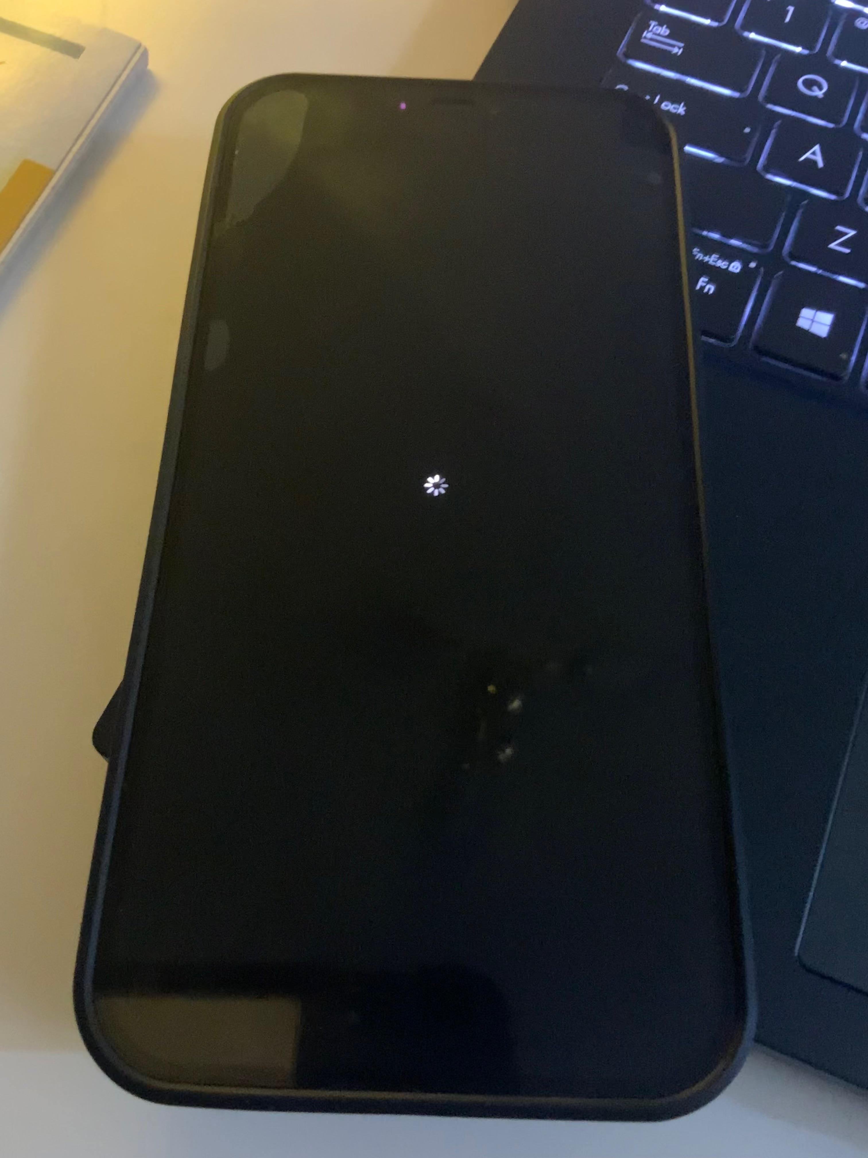 I had no problem with my iphone 12 pro max but then this happened. It's running iOS 16.2. The