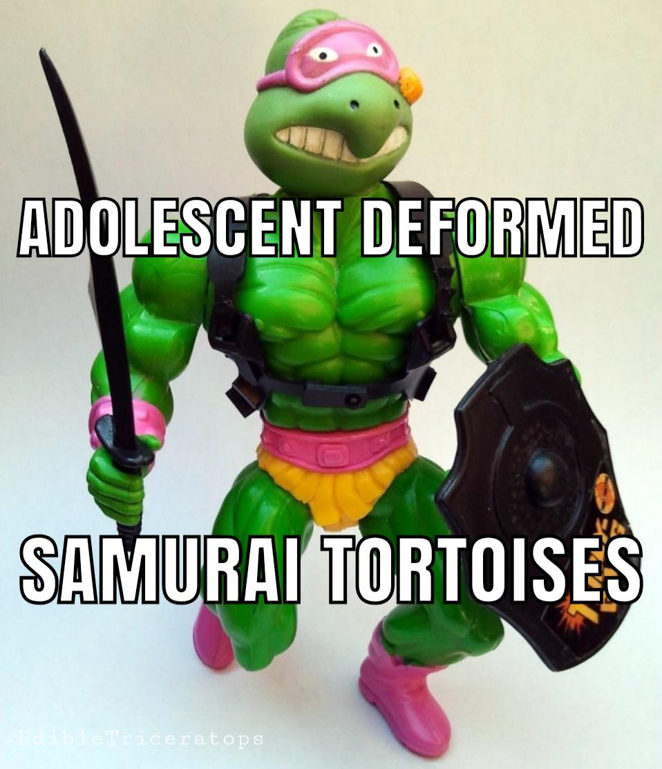 Now available on wish dot com memes