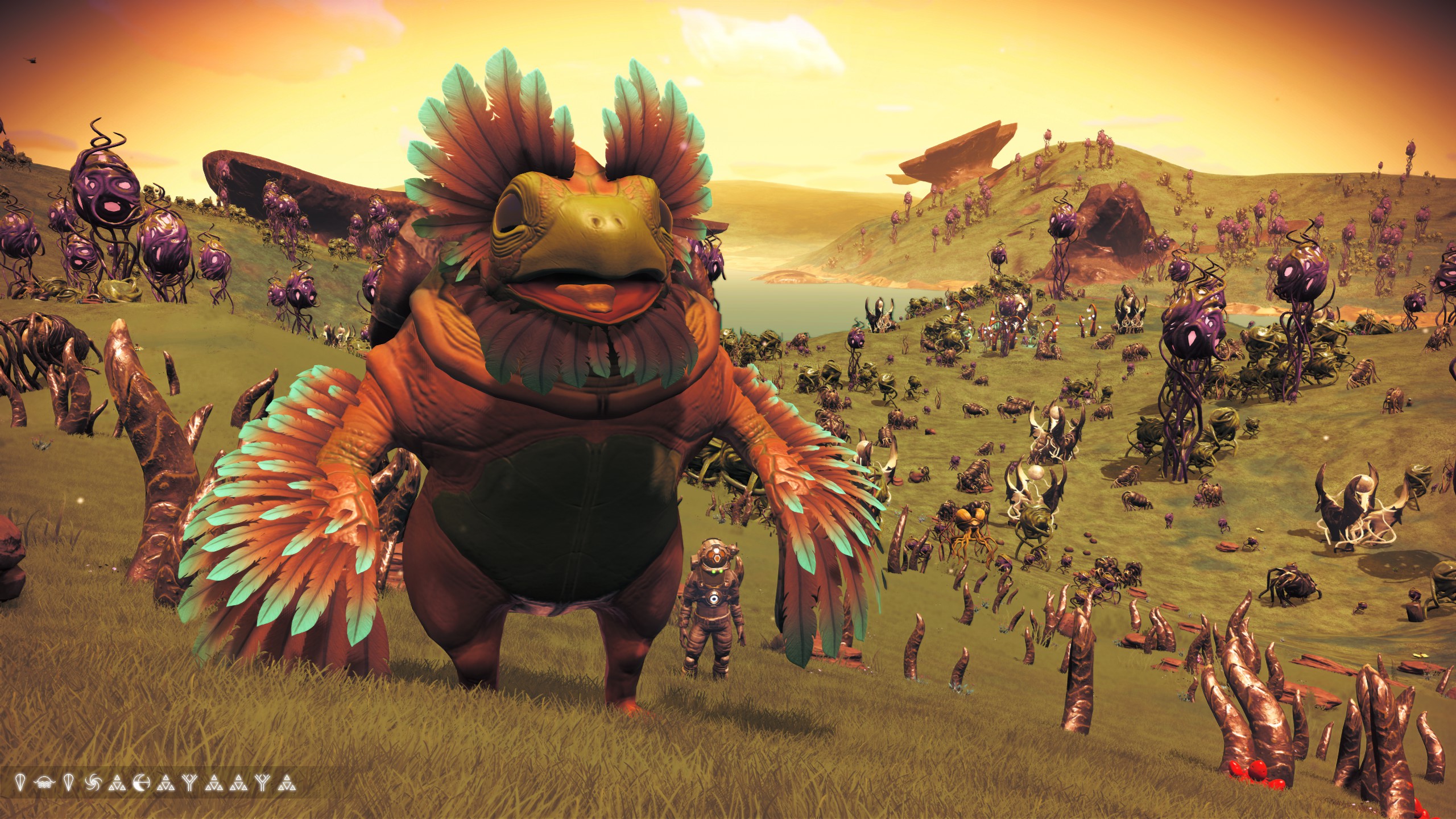 Euclid Nest Protogek took me under its wing r/NMS_Zoology
