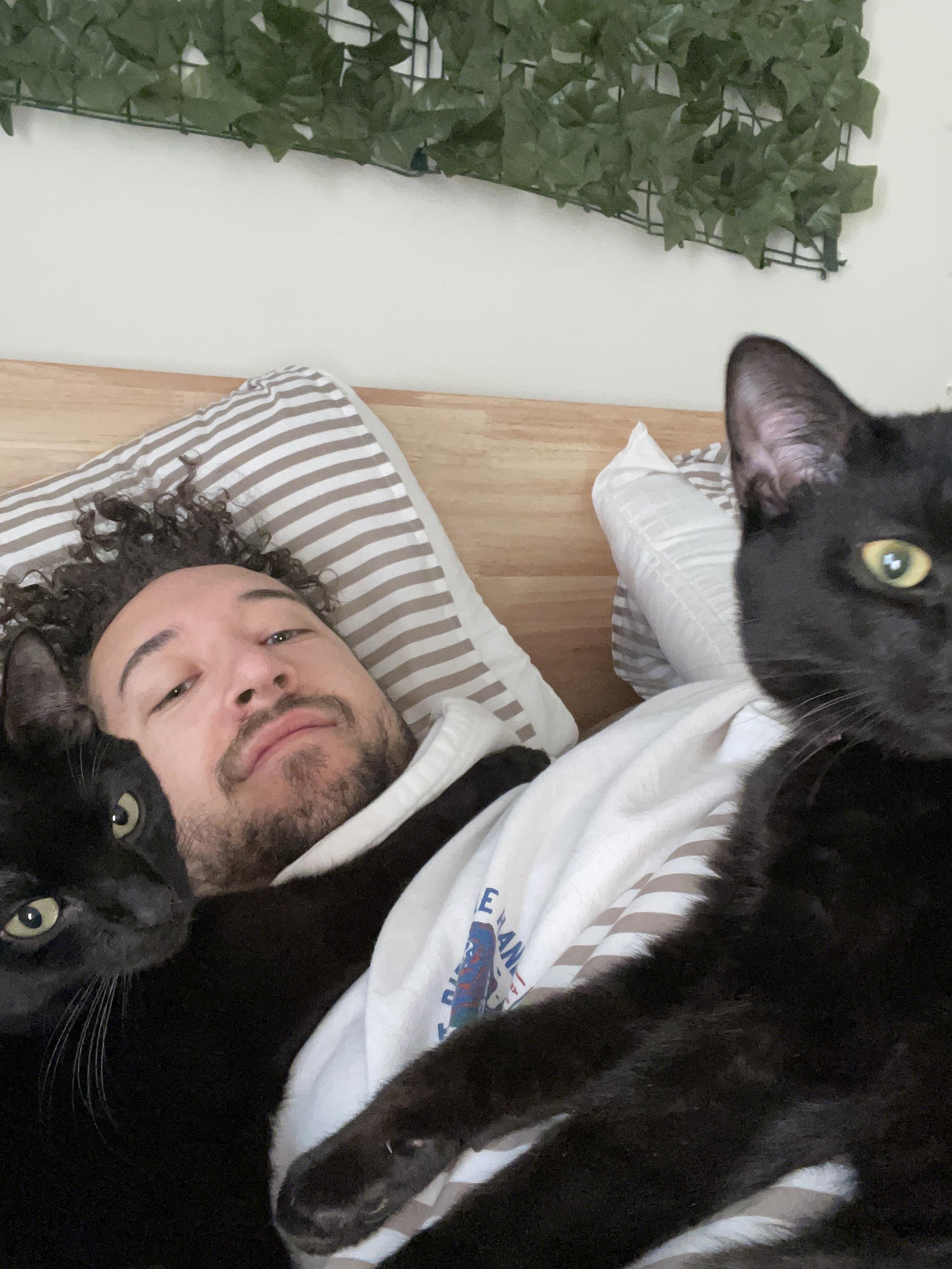 Do you suffer from weighted cat blanket syndrome like me most mornings? Hehe 🐈‍⬛ r/blackcats