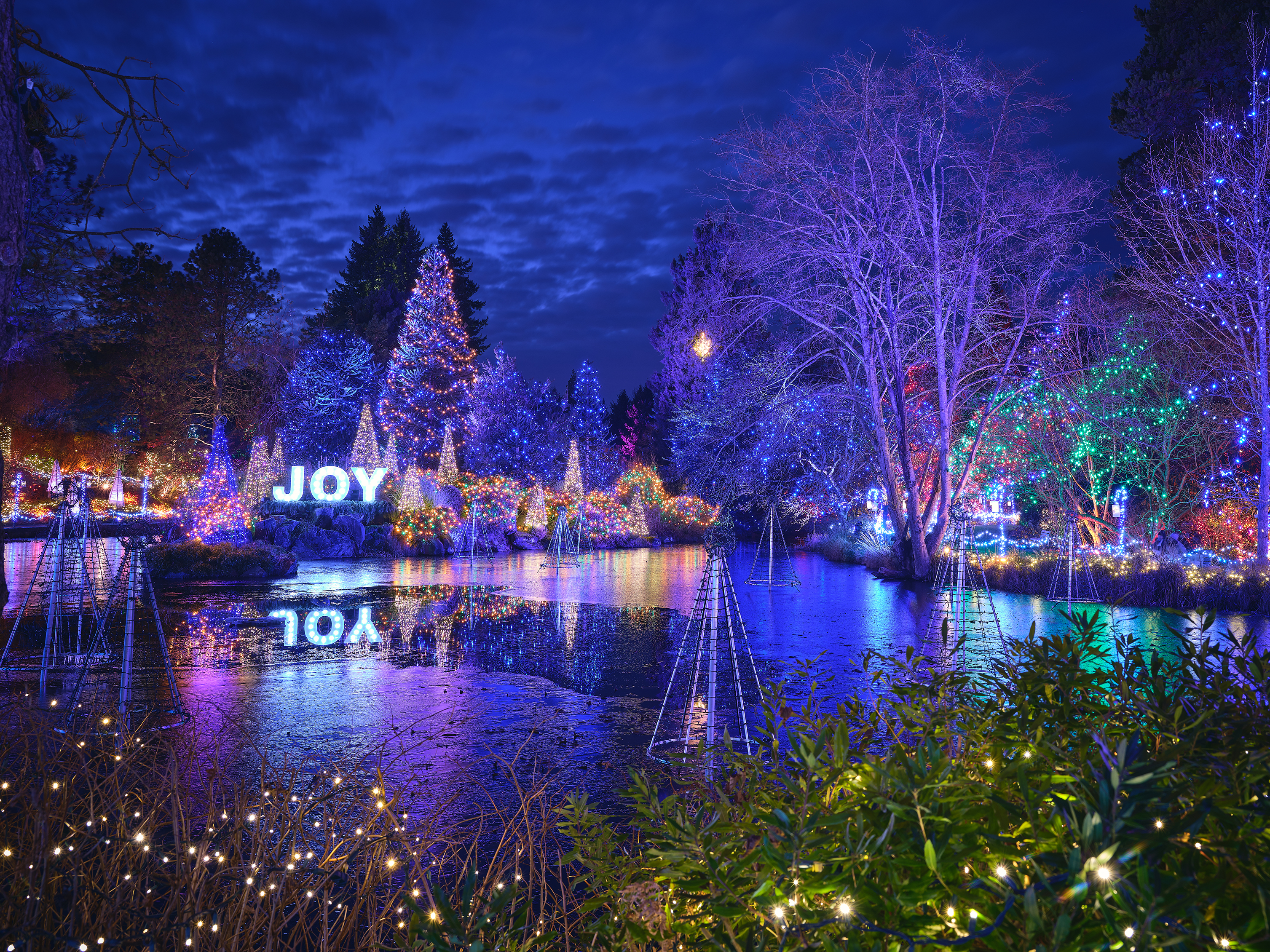 VanDusen festival of lights r/vancouver