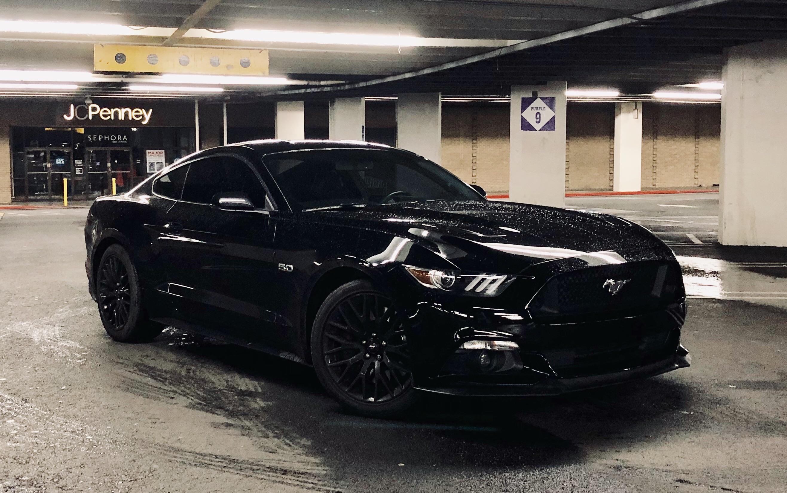 Black on black > Mustang