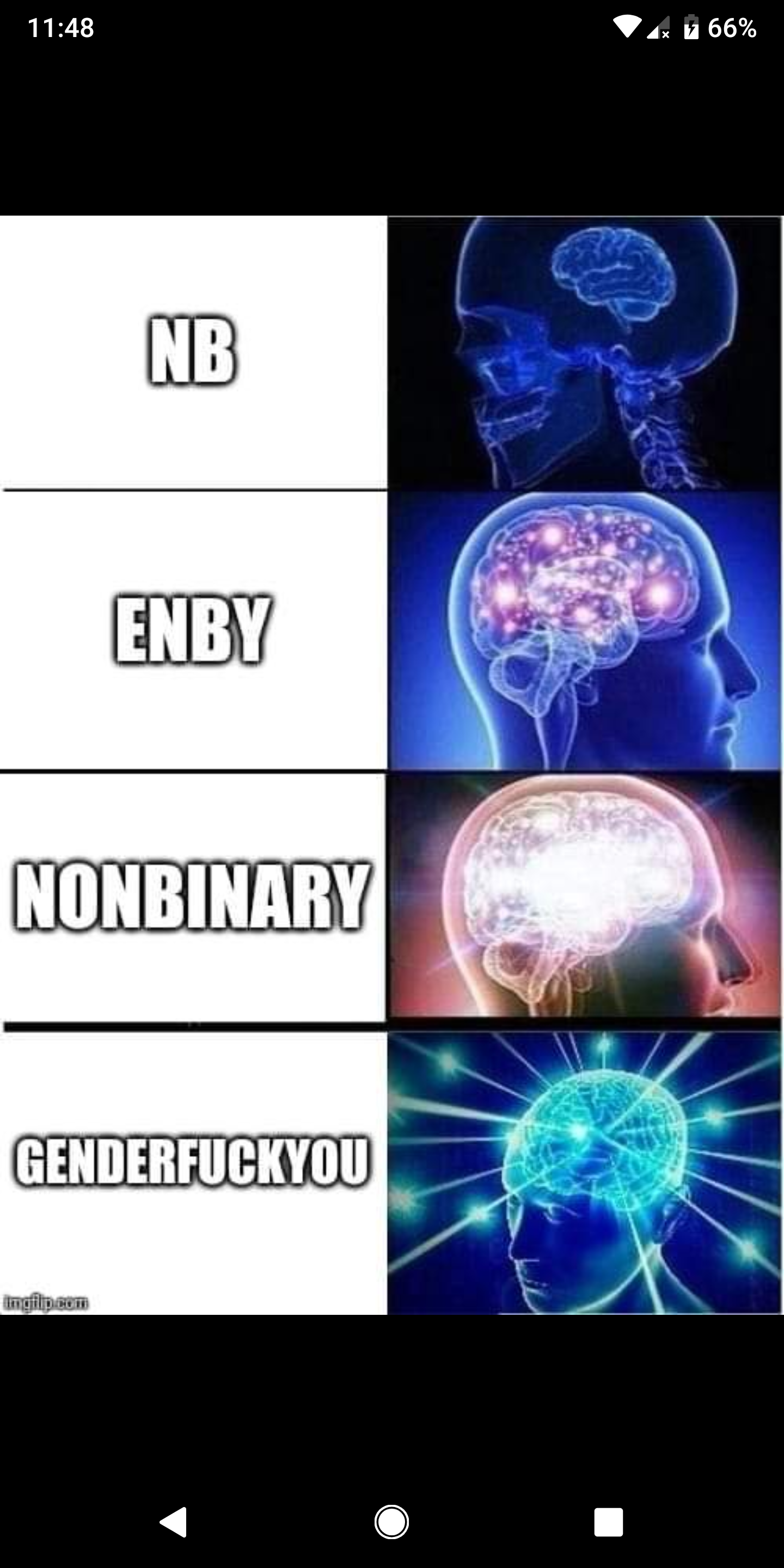 Nonbinary meme NonBinary