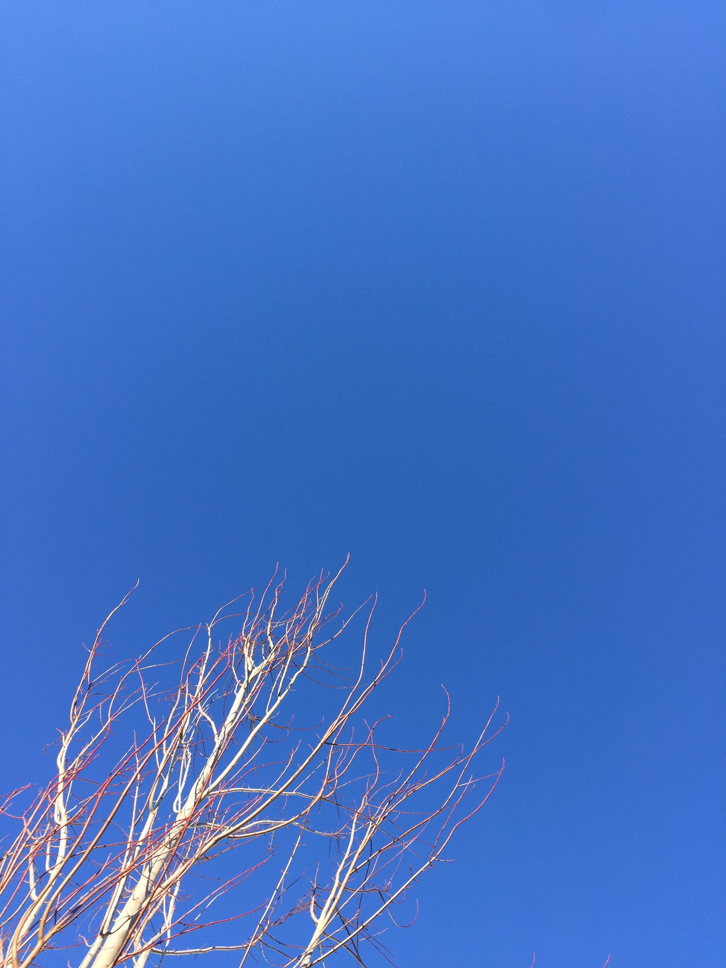 The colour of the sky right now r/notinteresting