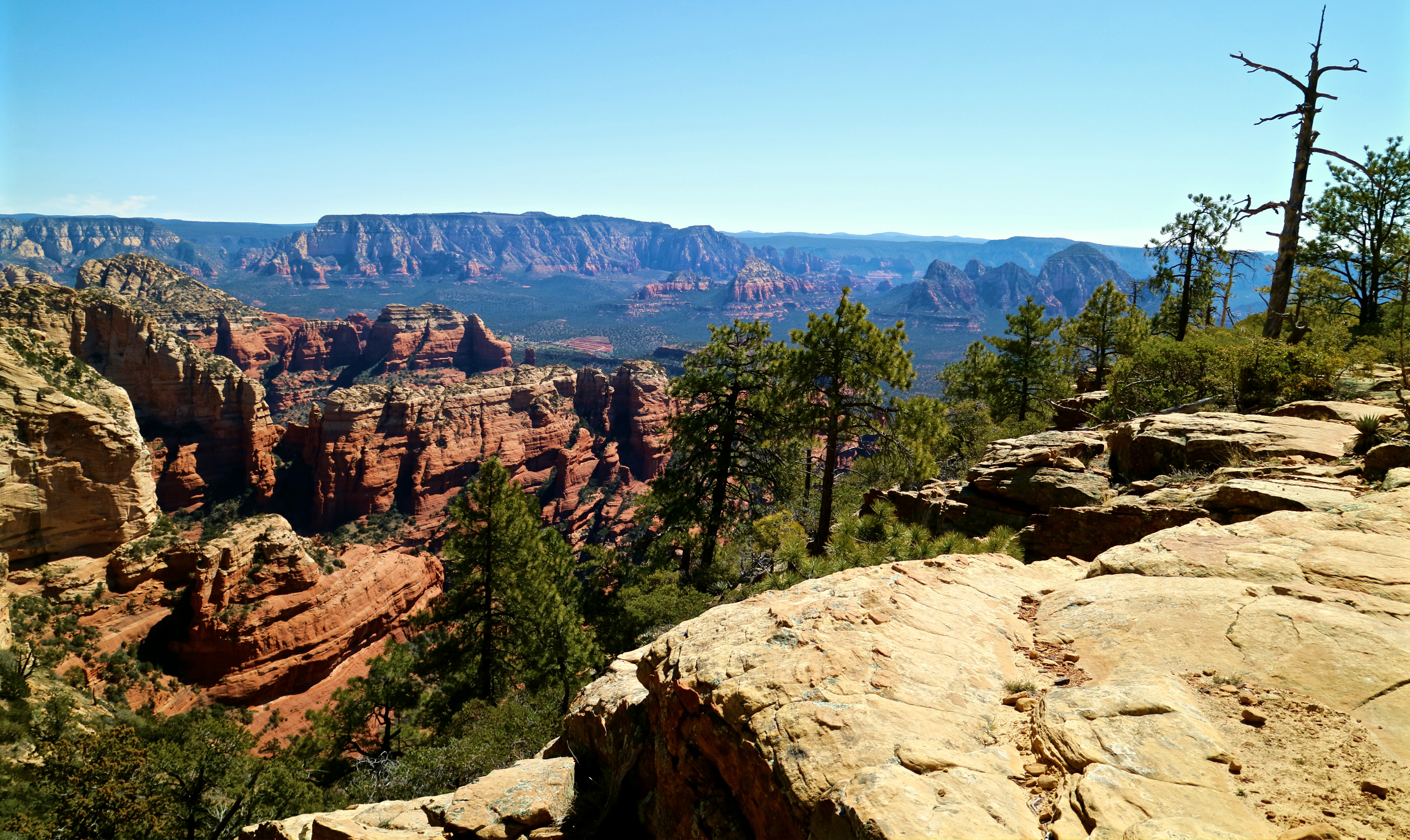 Northern Arizona is a lovely place. r/arizona