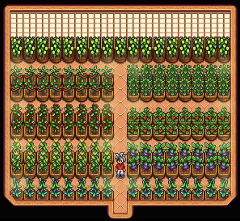 PSA you can make a makeshift greenhouse out of a large shed. Holds