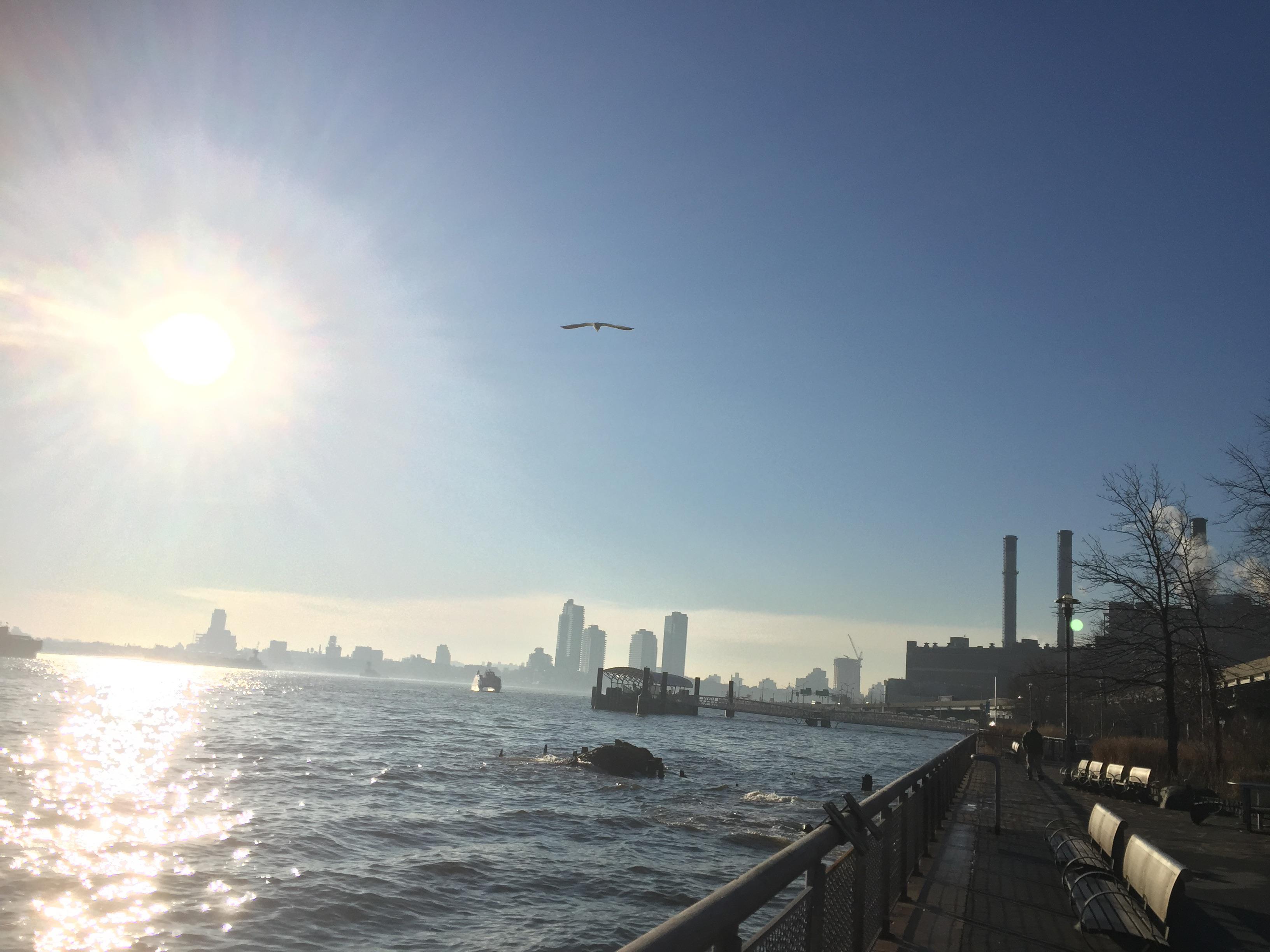 Stuyvesant Cove in New York City r/pics