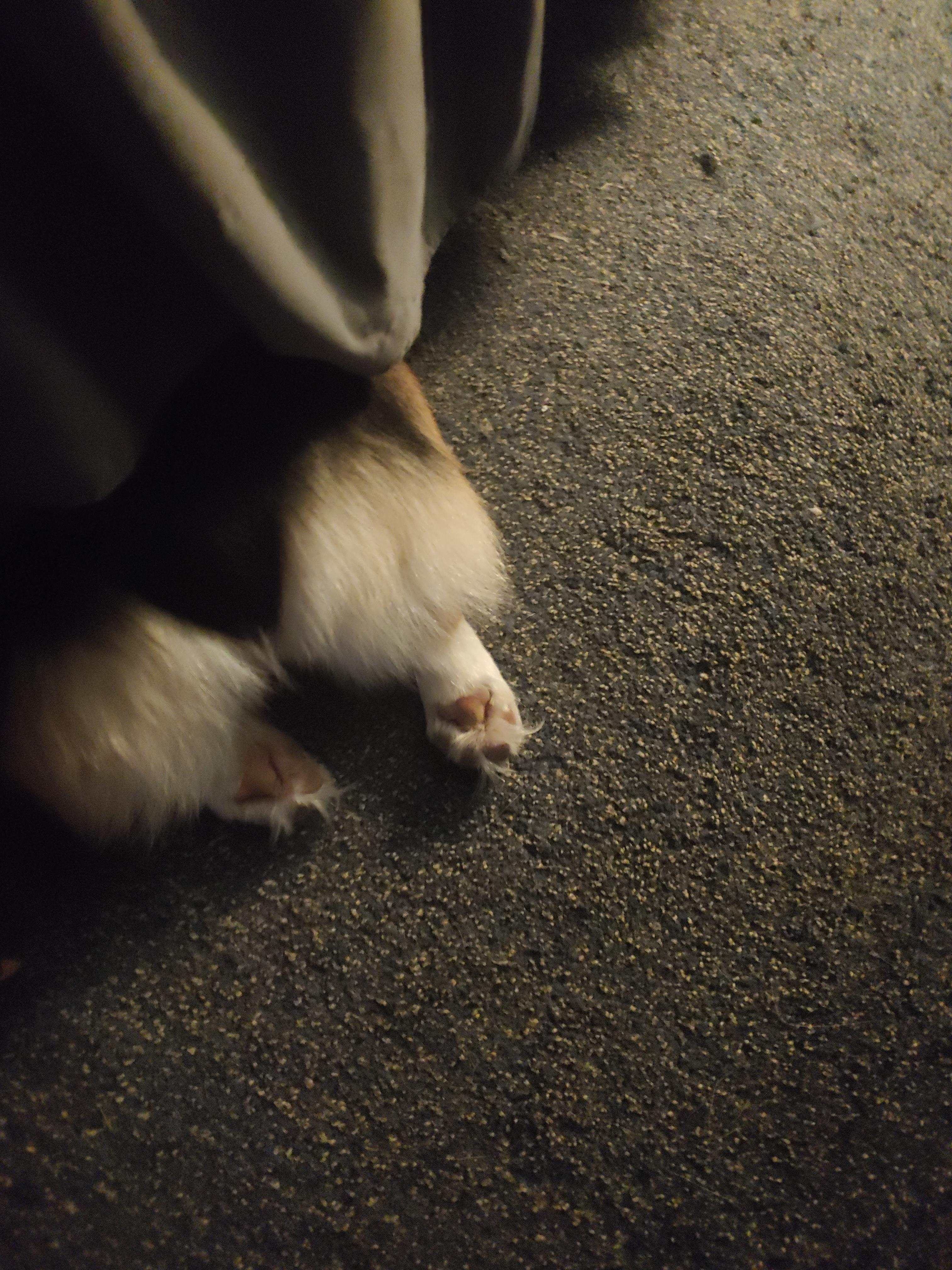 She "hides" under the bed all the time