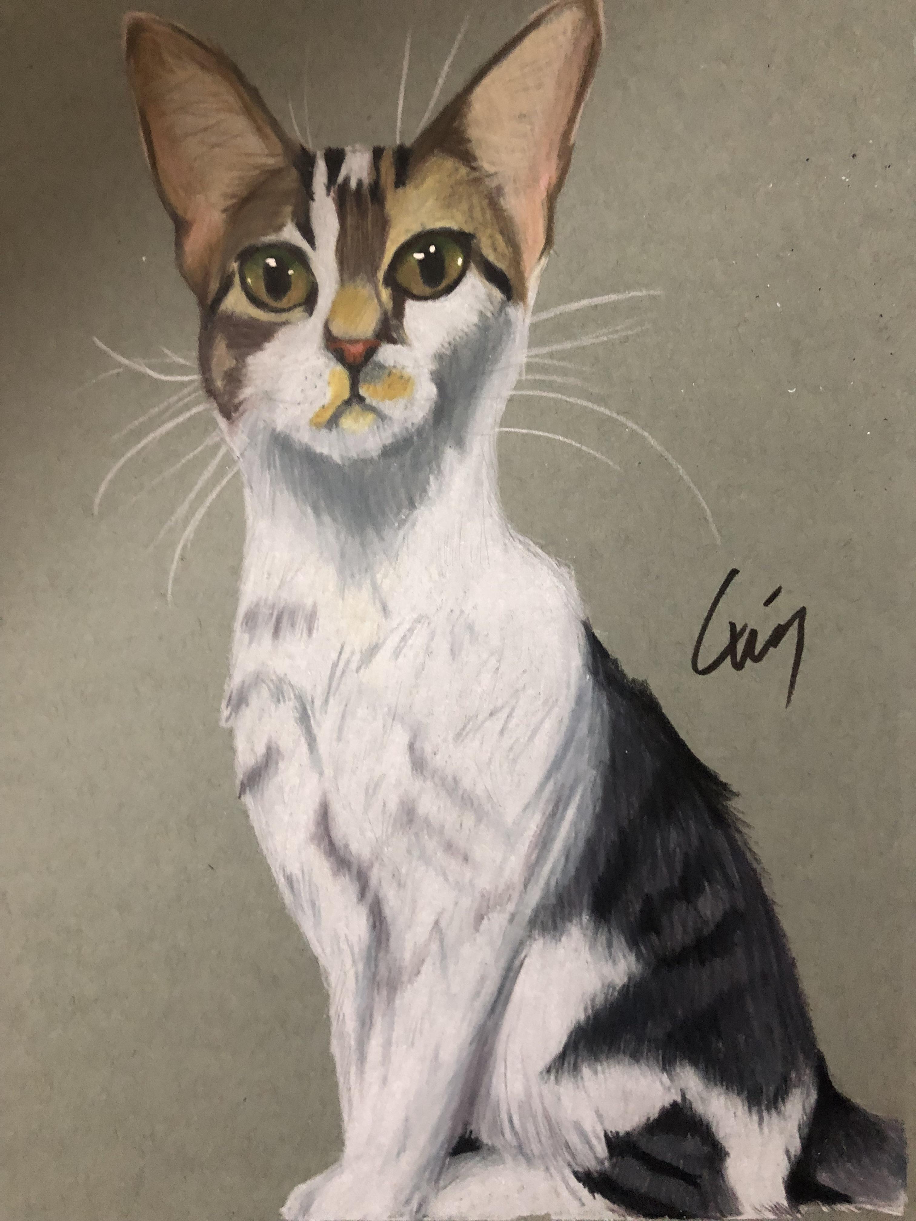 Scout in color pencil (btw any suggestions for tape to border the paper