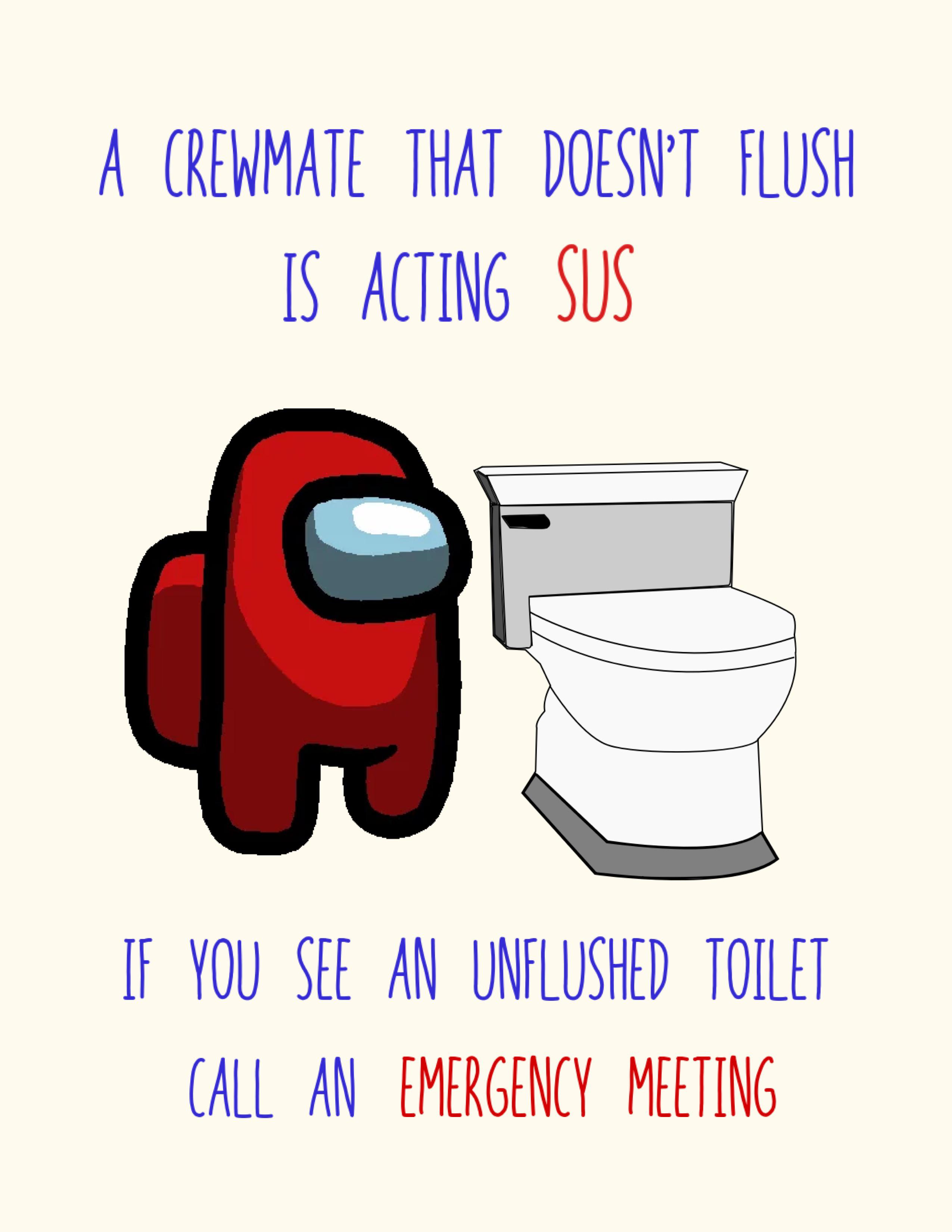 My 6 year old constantly to flush the toilet so I posted a