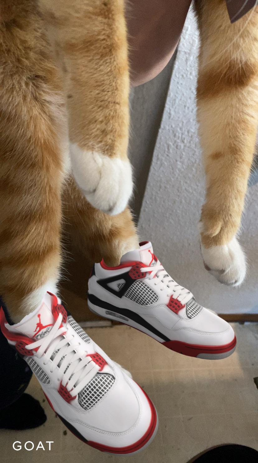 Cat with drip r/Sneakers