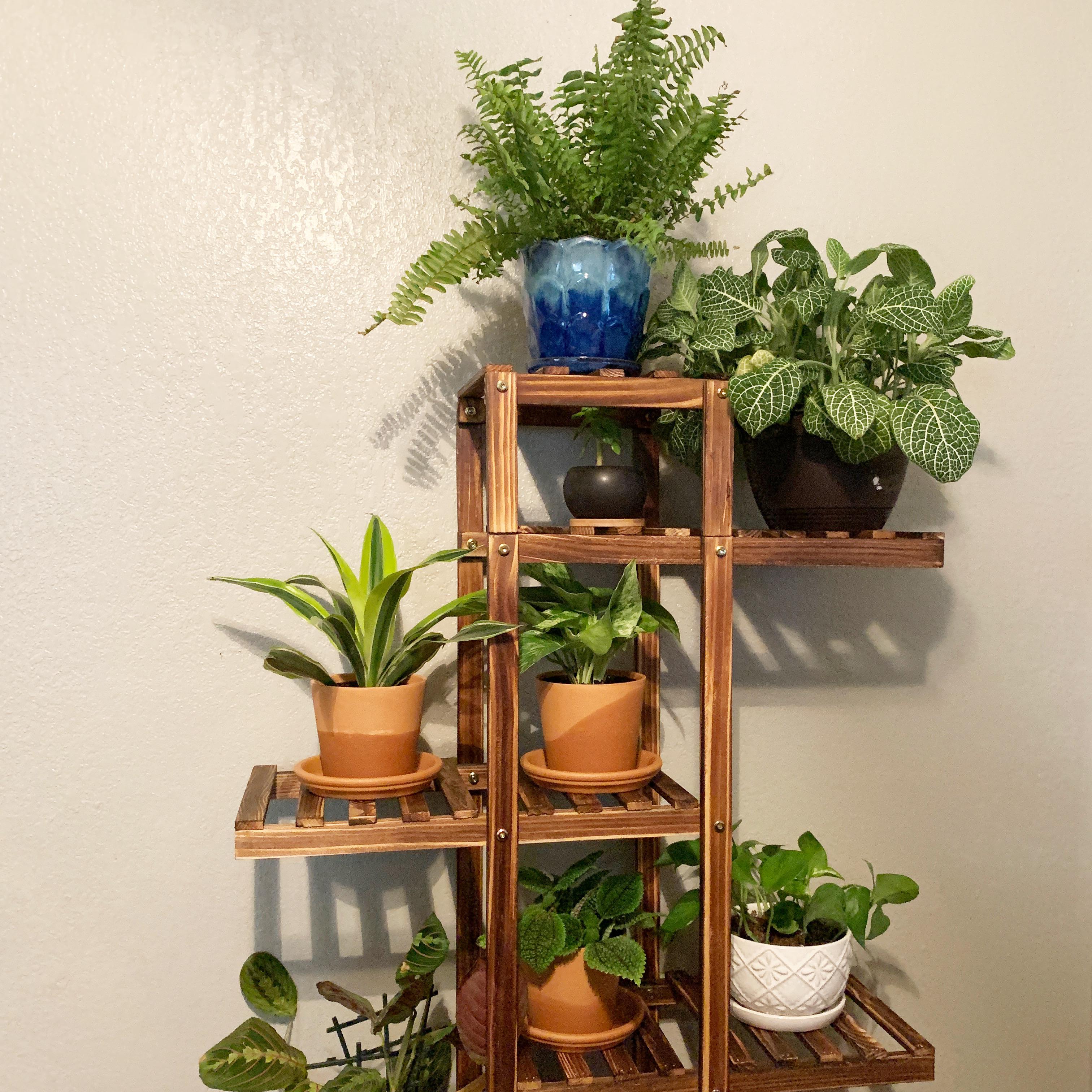 Something about plant shelves is so satisfying. I wish I had more