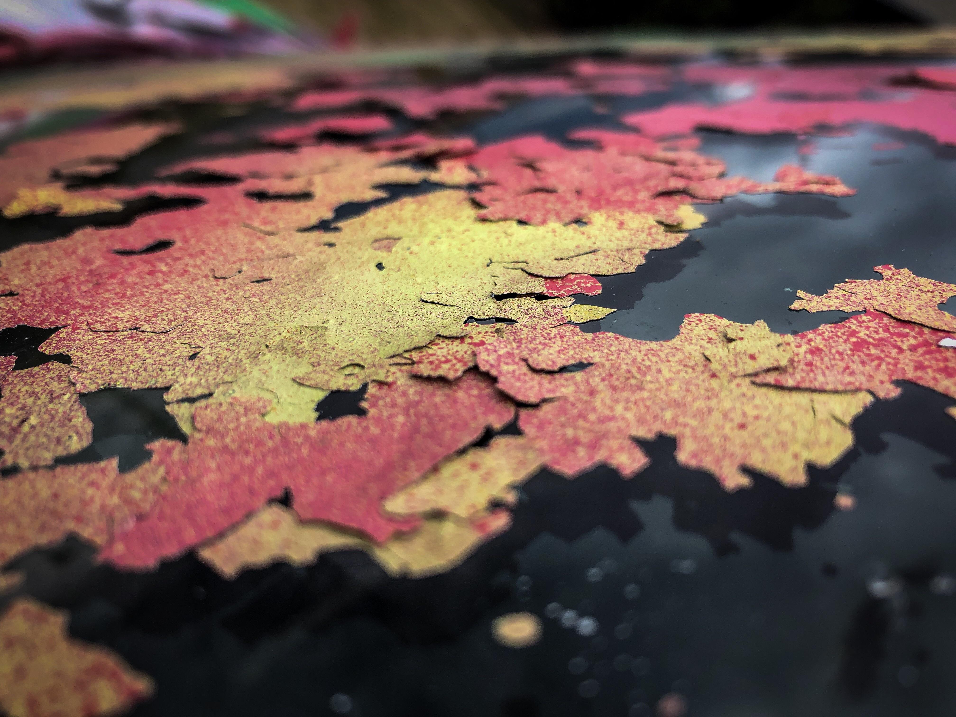 Paint Chips • iPhone 8 • Lightroom r/iPhoneography