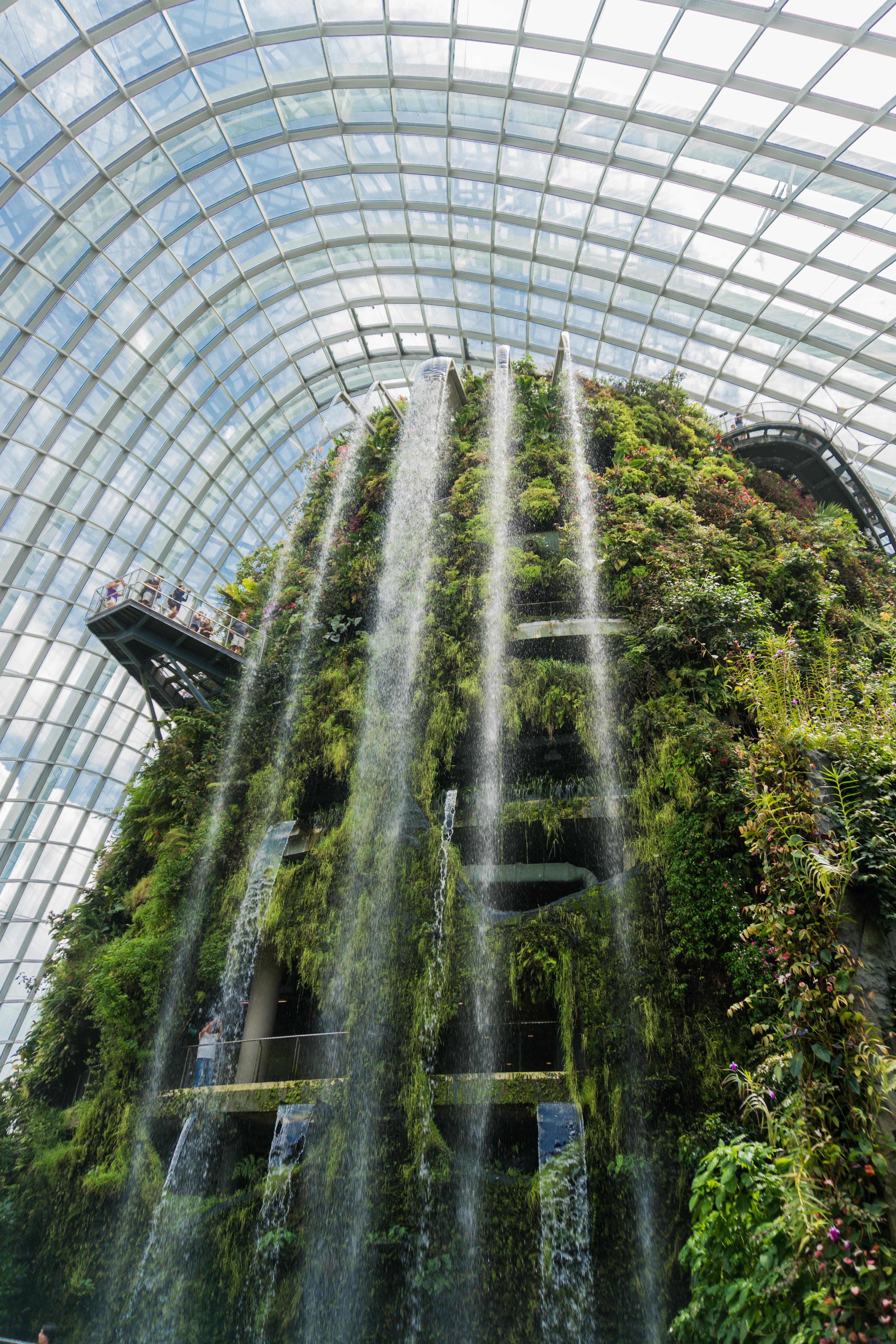 DAANIS Singapore Indoor Waterfall Gardens