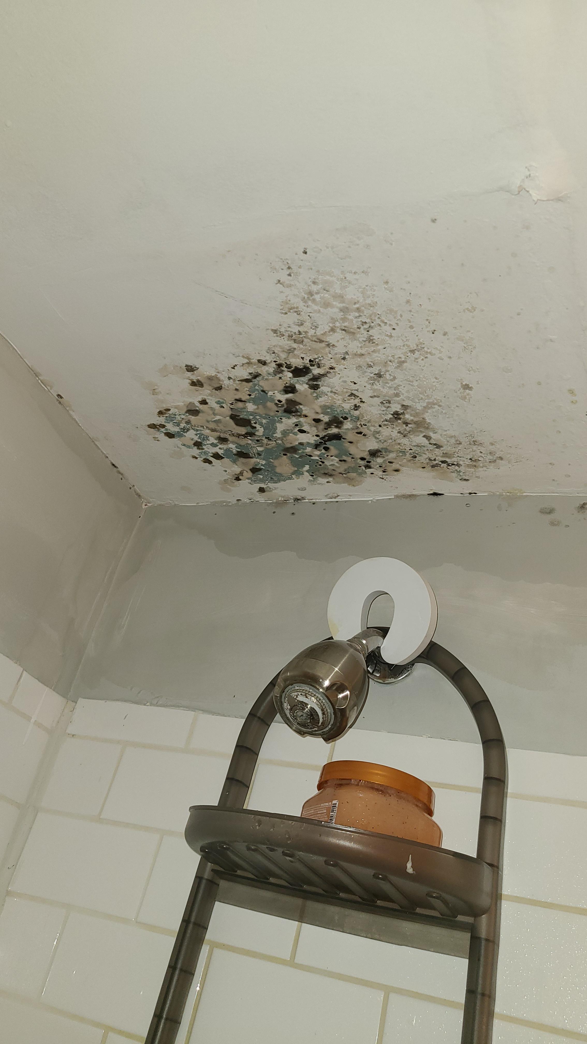 Update to above shower leaking upstairs neighbors tub. This is how bad