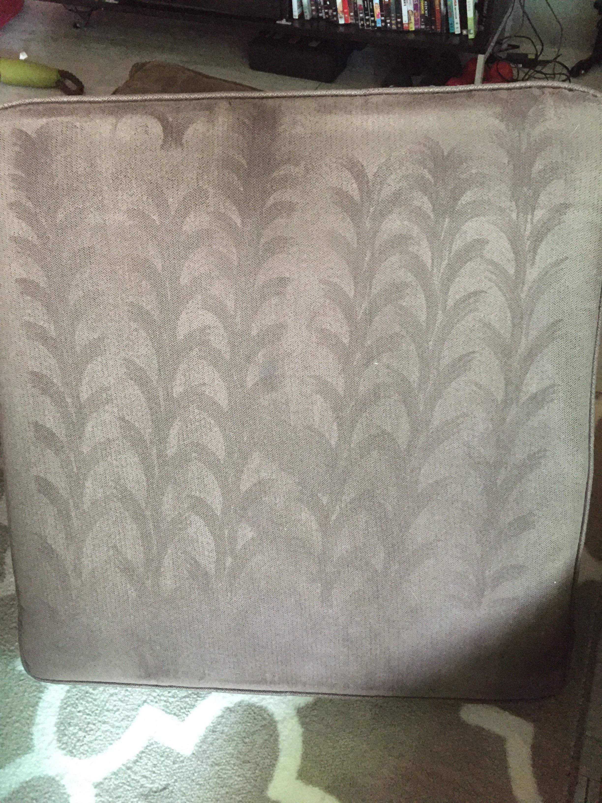 My vacuum turned my couch cushion into a wheat field. r/mildlyinteresting