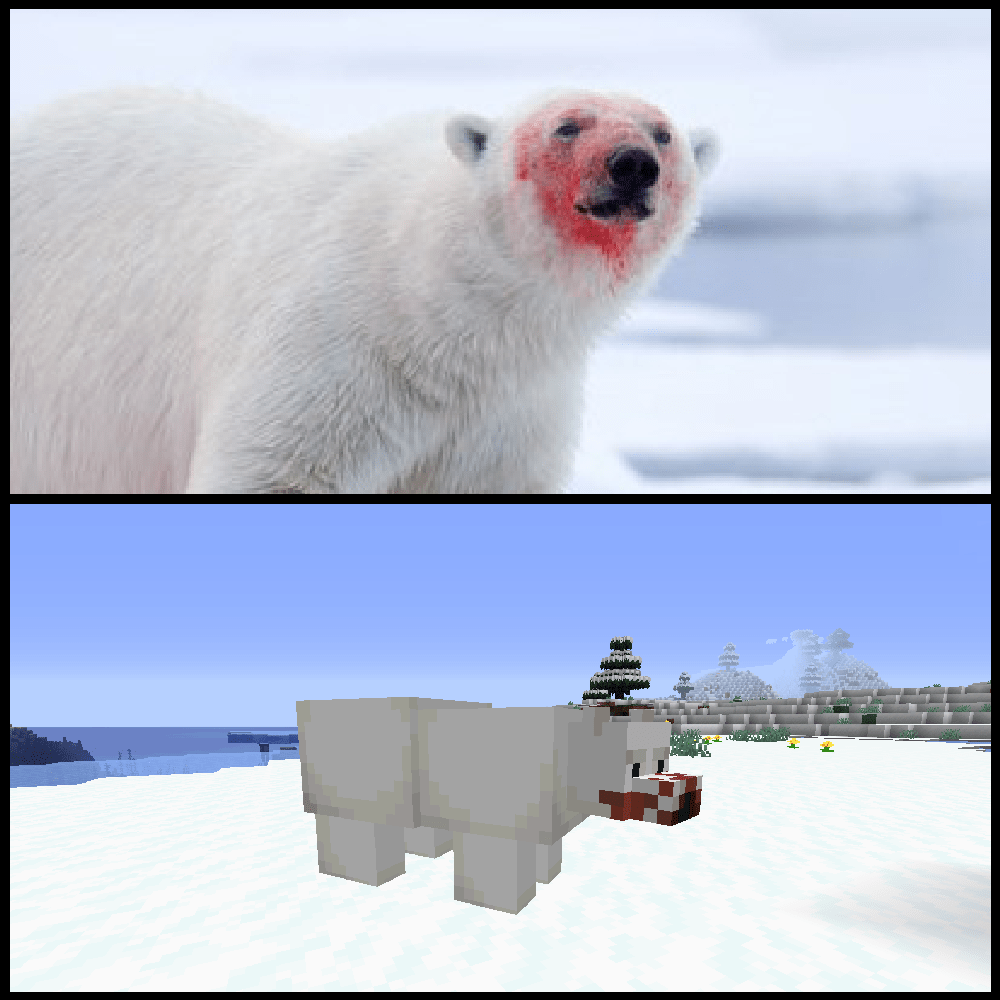 The Polar Bears Are Dying Vine Felizanonovo Wallpaper