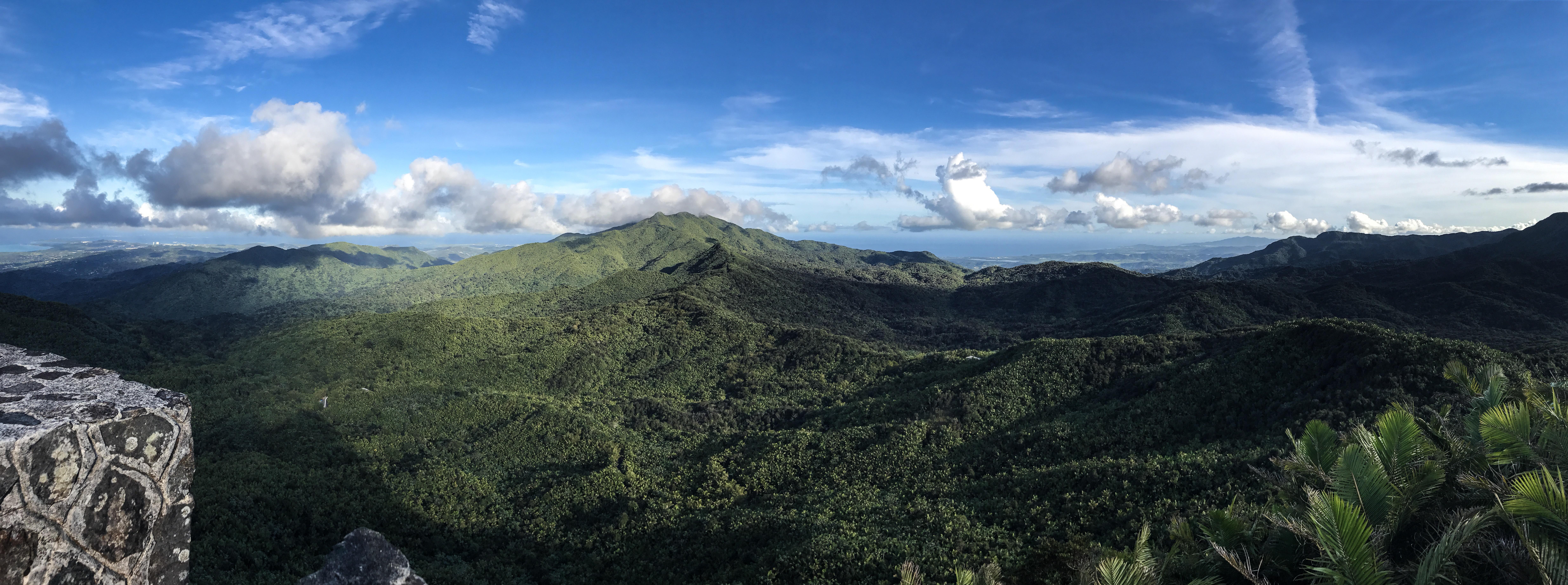 From top of Mt. Britton Tower in El Yunque National Forest in Puerto Rico [OC][9878x3686] r