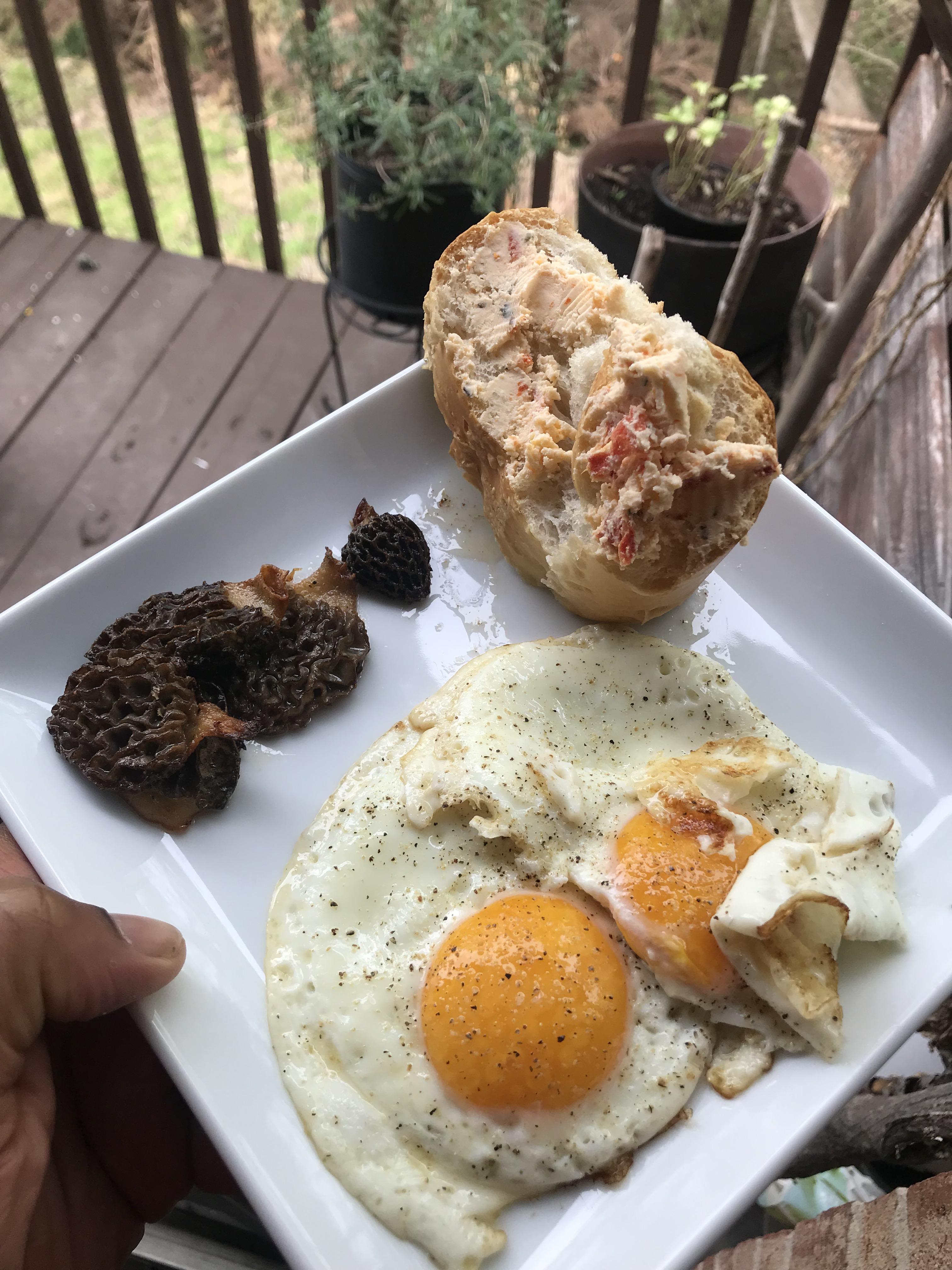 Breakfast of champions. Eggs and buttered morels. r/mycology