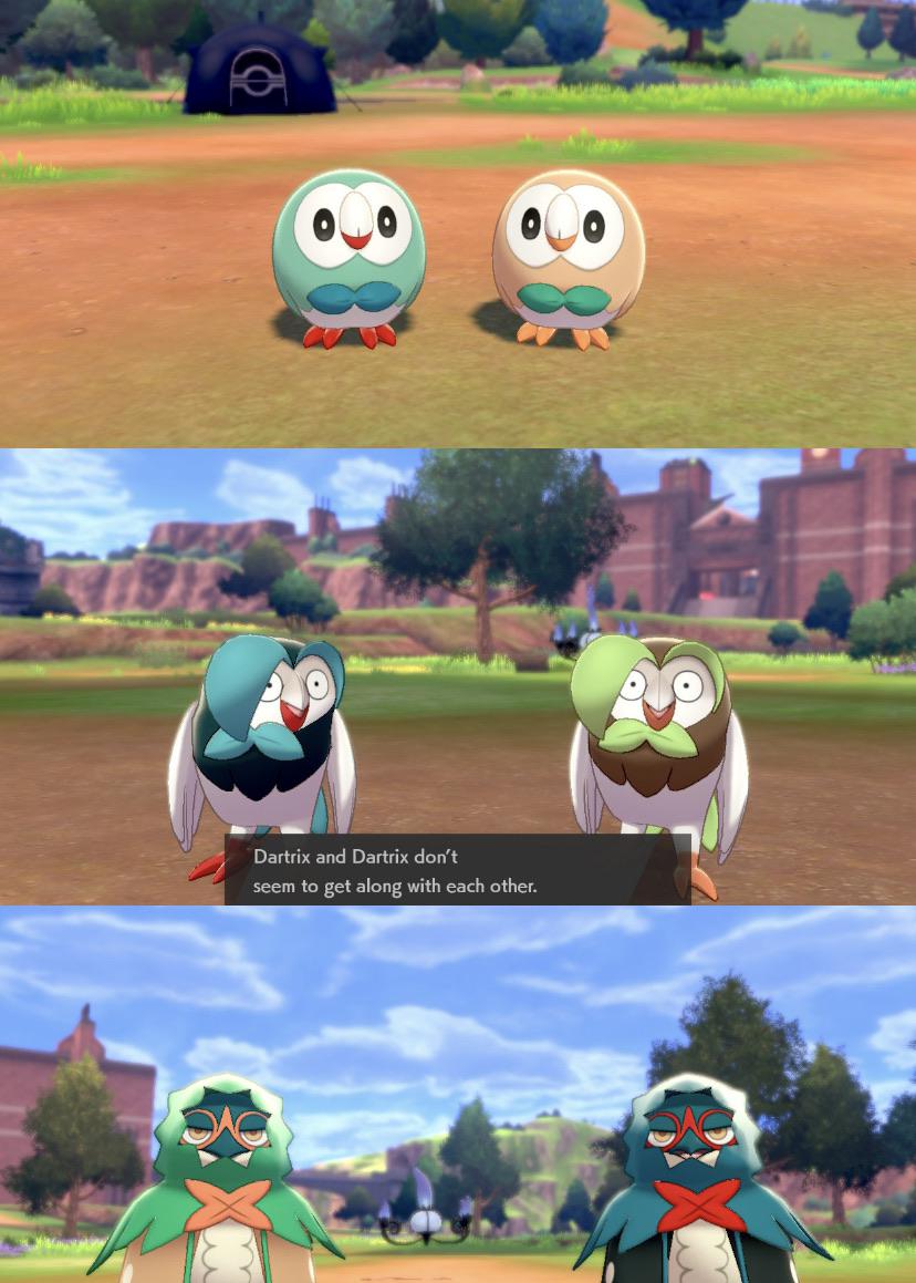 66 best Rowlett images on Pholder Dallas, Whisky DFW and Pokemon