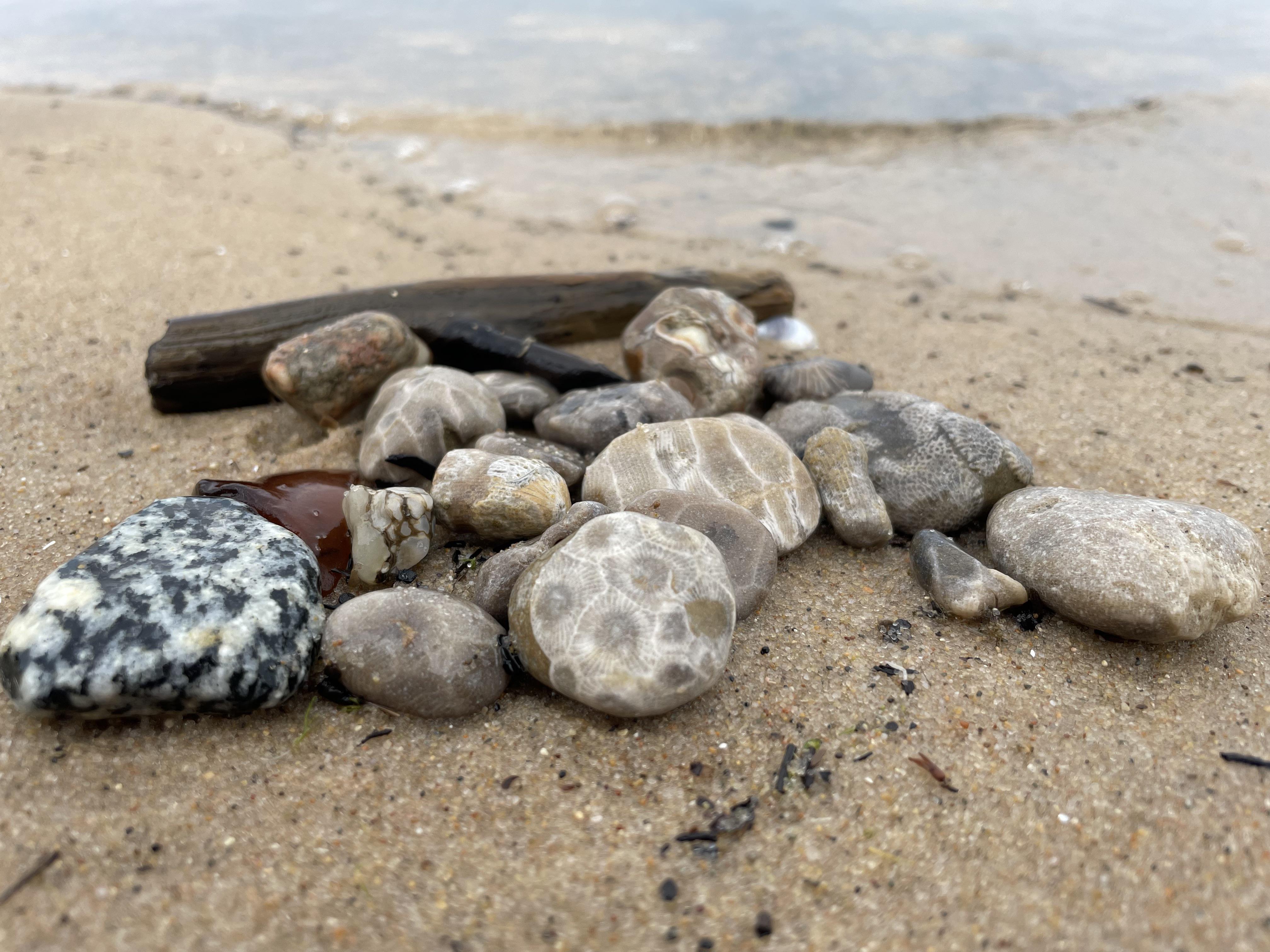 A fun morning of rock hunting on the shore of Lake Michigan r/rockhounds