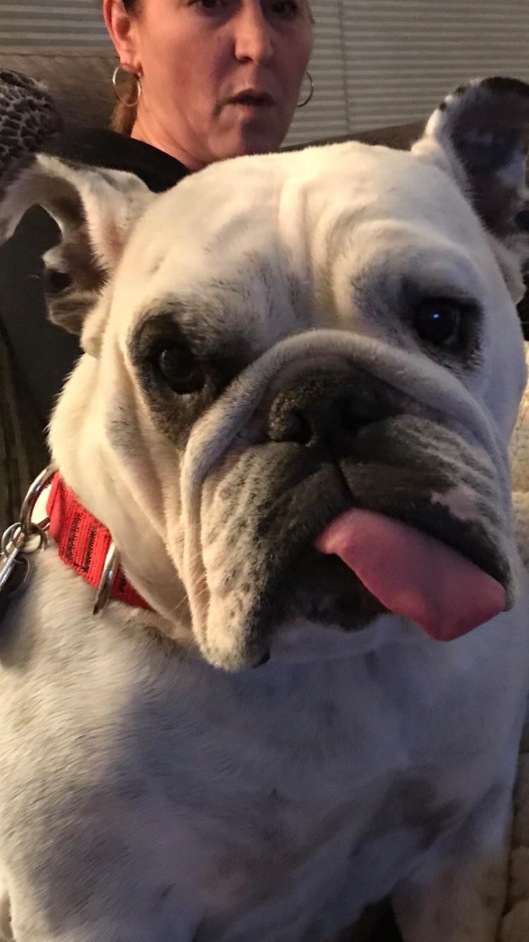 Since she got a lot of love yesterday, here’s another picture of this