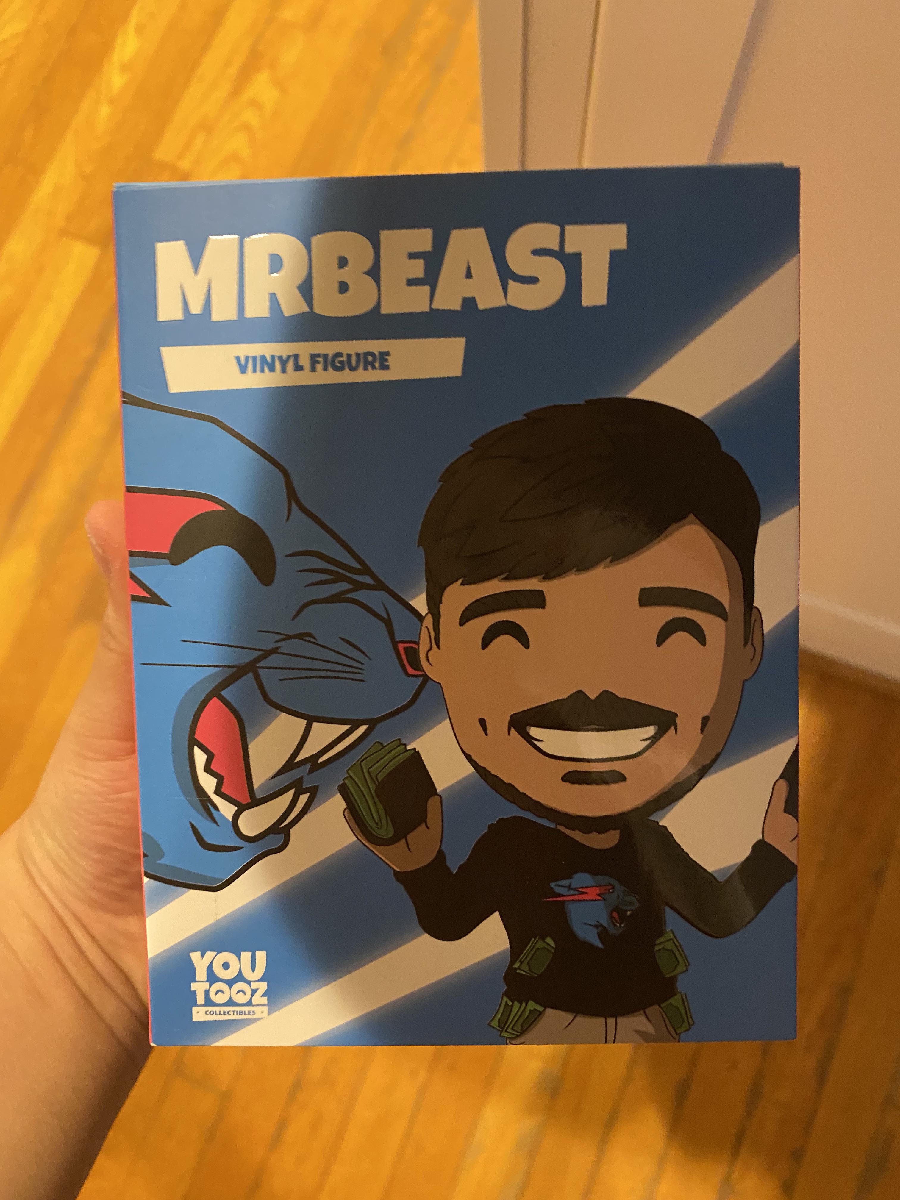 My resale Mr beast came in today r/Youtooz