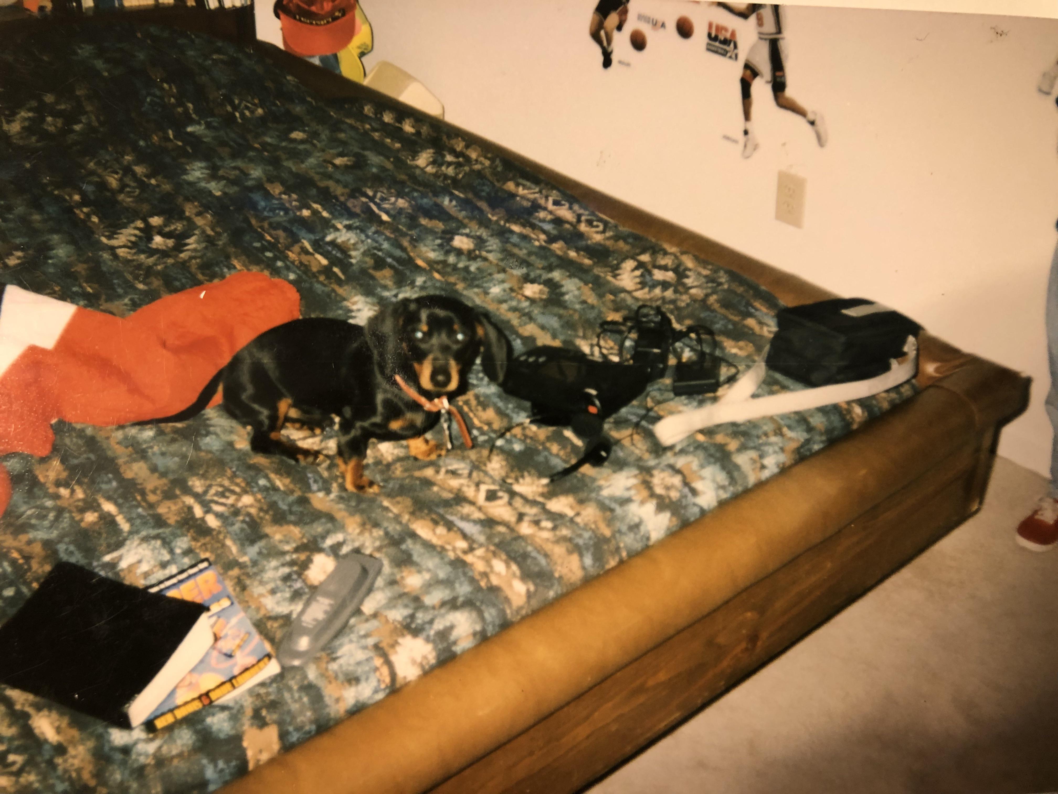 I found some old pics today. This one screams 90s. My pup, waterbed