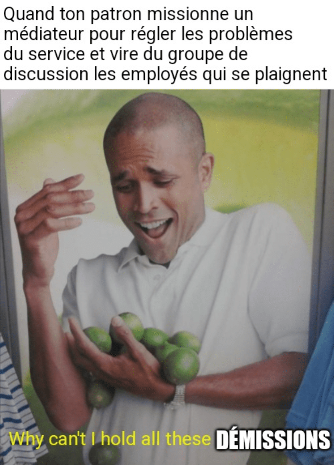 Ya rien à régler quand ya pas de problème *tapotte sa tempe* r/AntiTaff