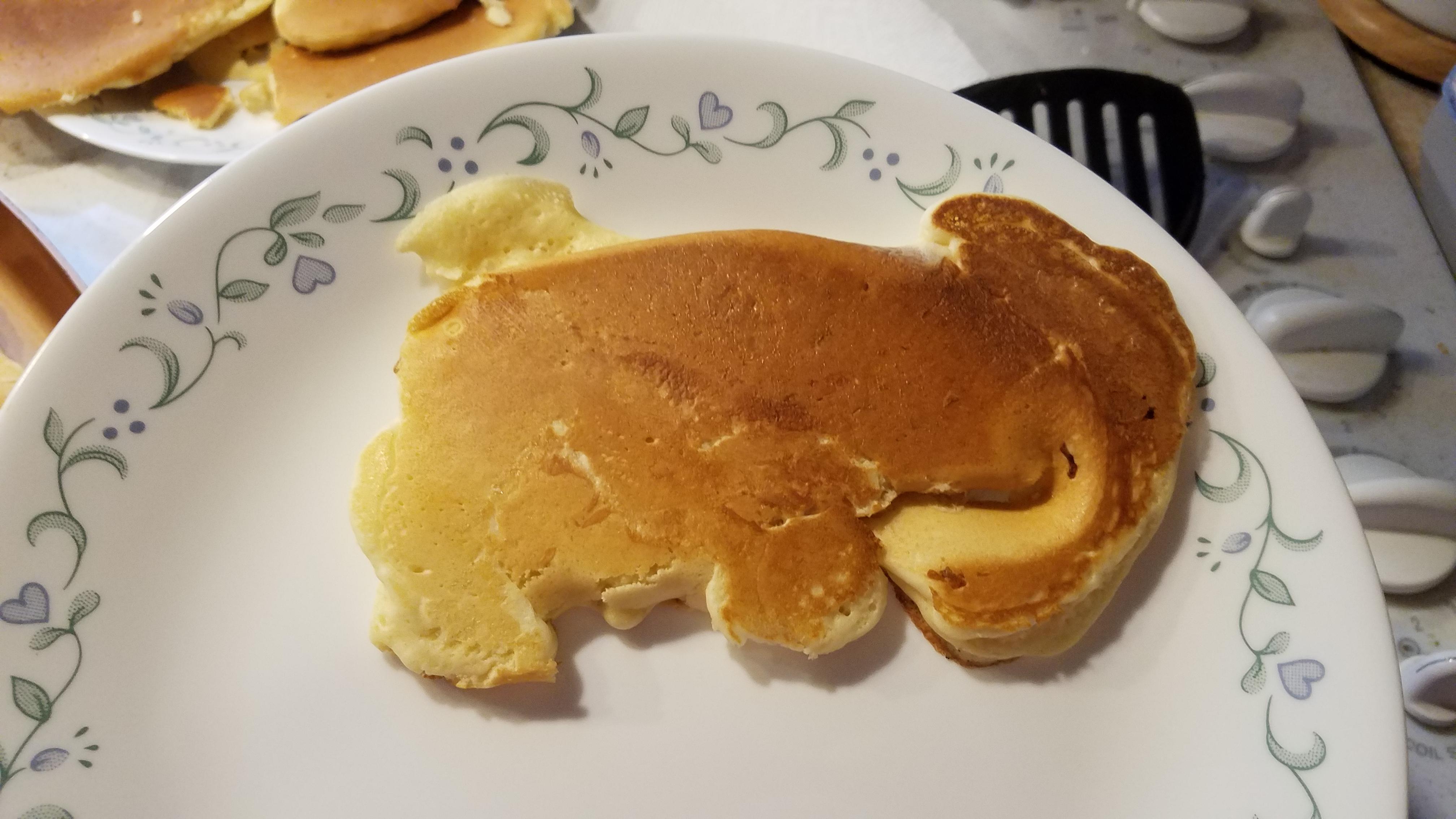 My bad flip made my pancake look like an elephant r/mildlyinteresting