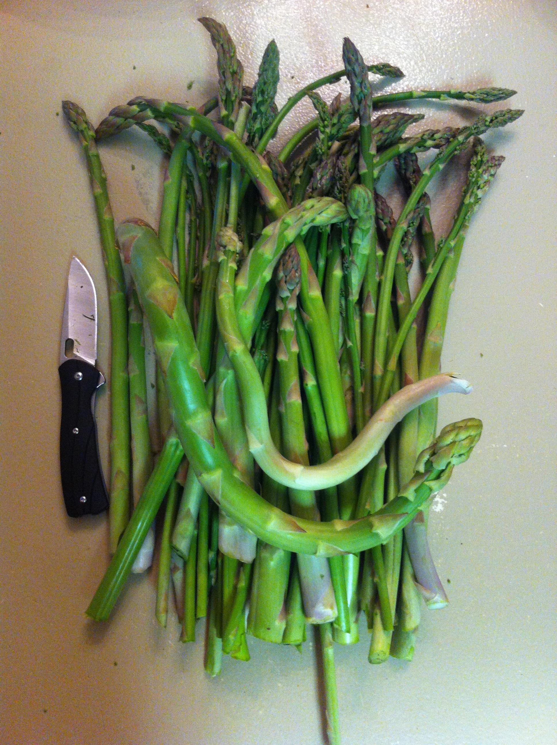 It's wild asparagus season in the southern interior of British Columbia