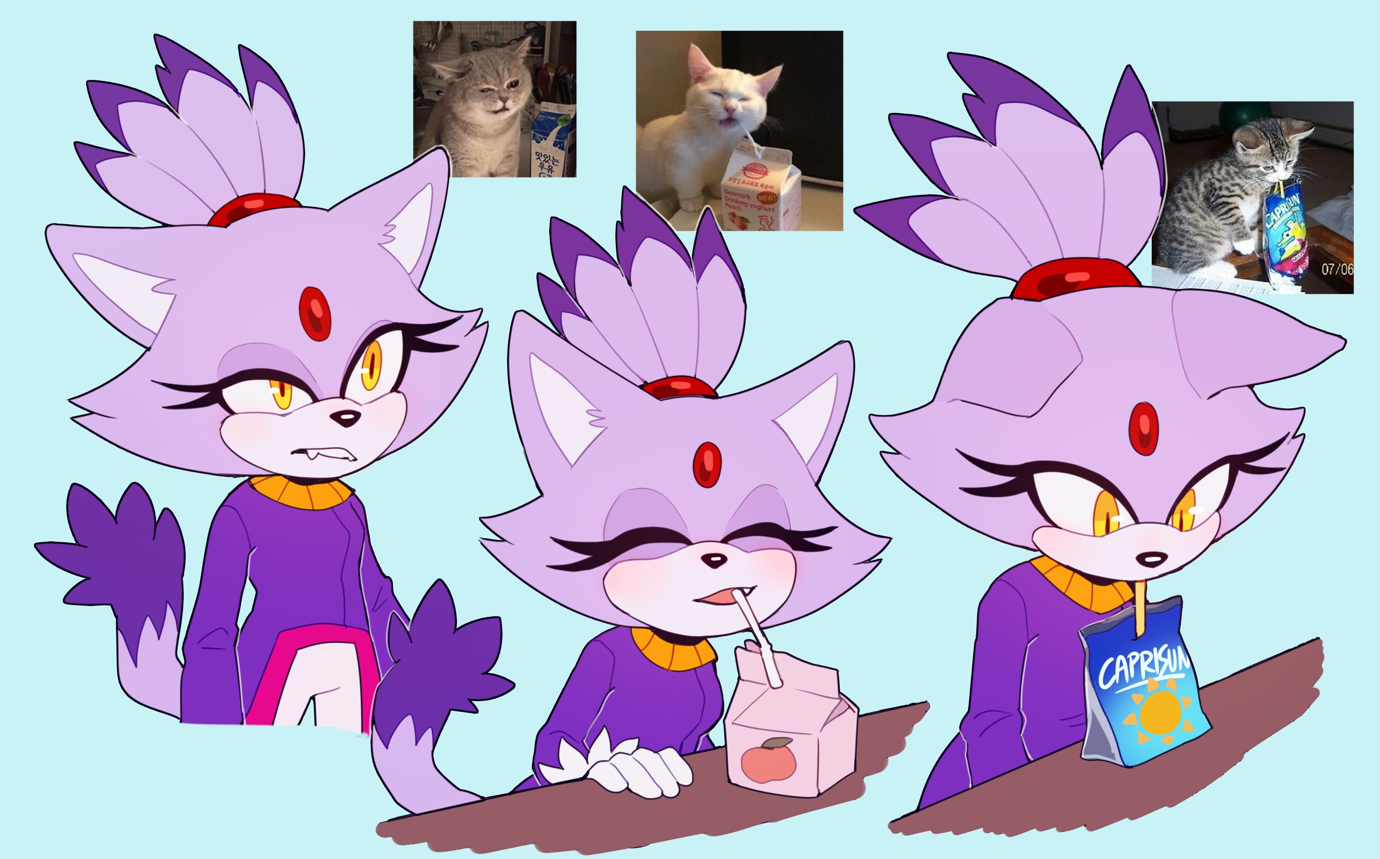 cat pics but it's Blaze (by cool ranch baja blast) r/SonicTheHedgehog