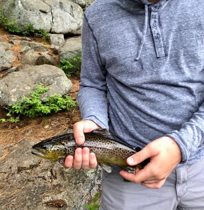 Trout from Buttermilk Falls, Long Lake, New York! r/Adirondacks