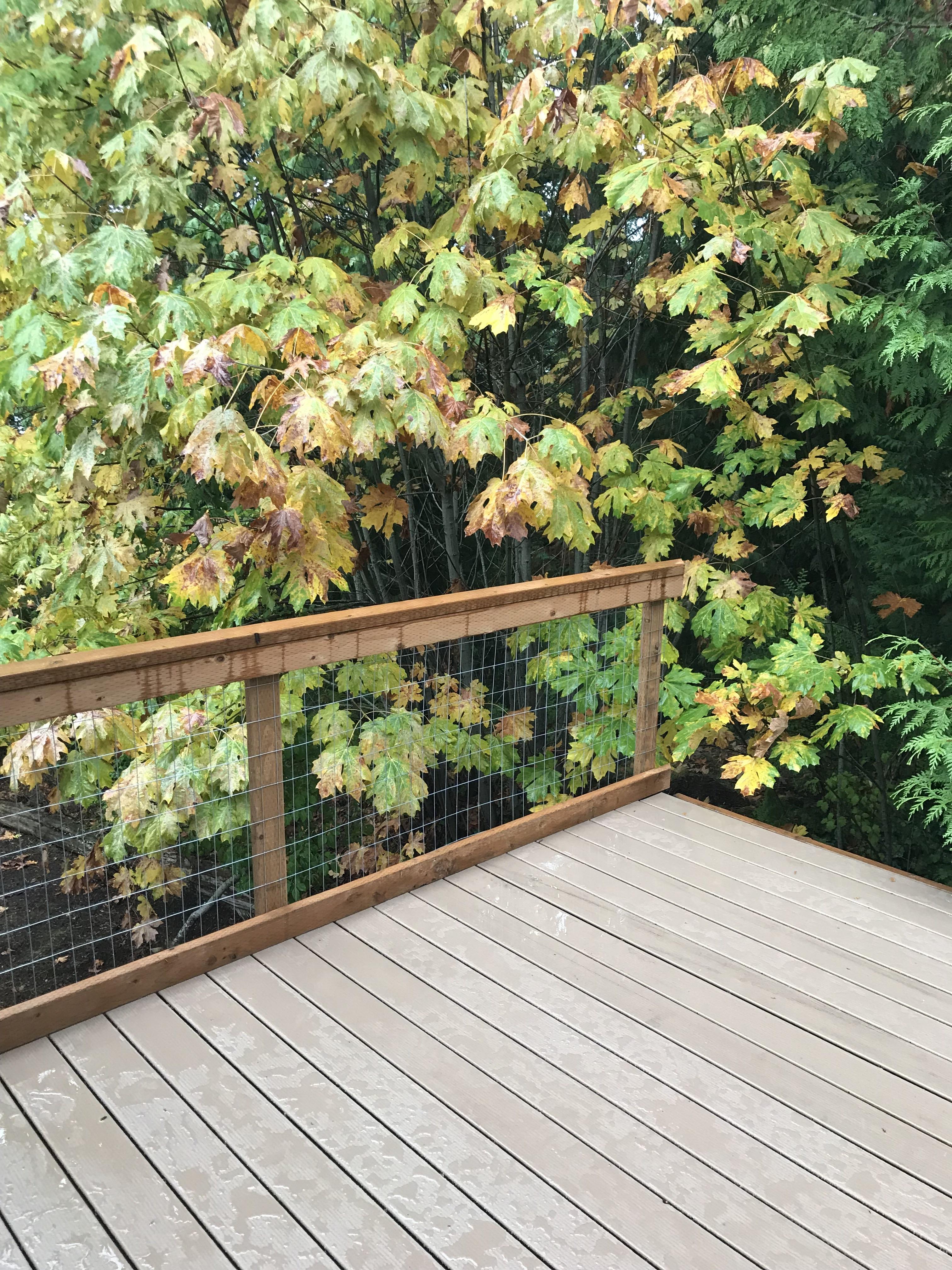 Waking up to a near finished deck and its raining, what a perfect