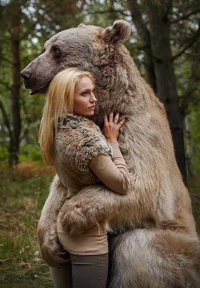 .Tender Reunion Grey Bear Shares Embrace with Woman in North American Forest, Unveiling