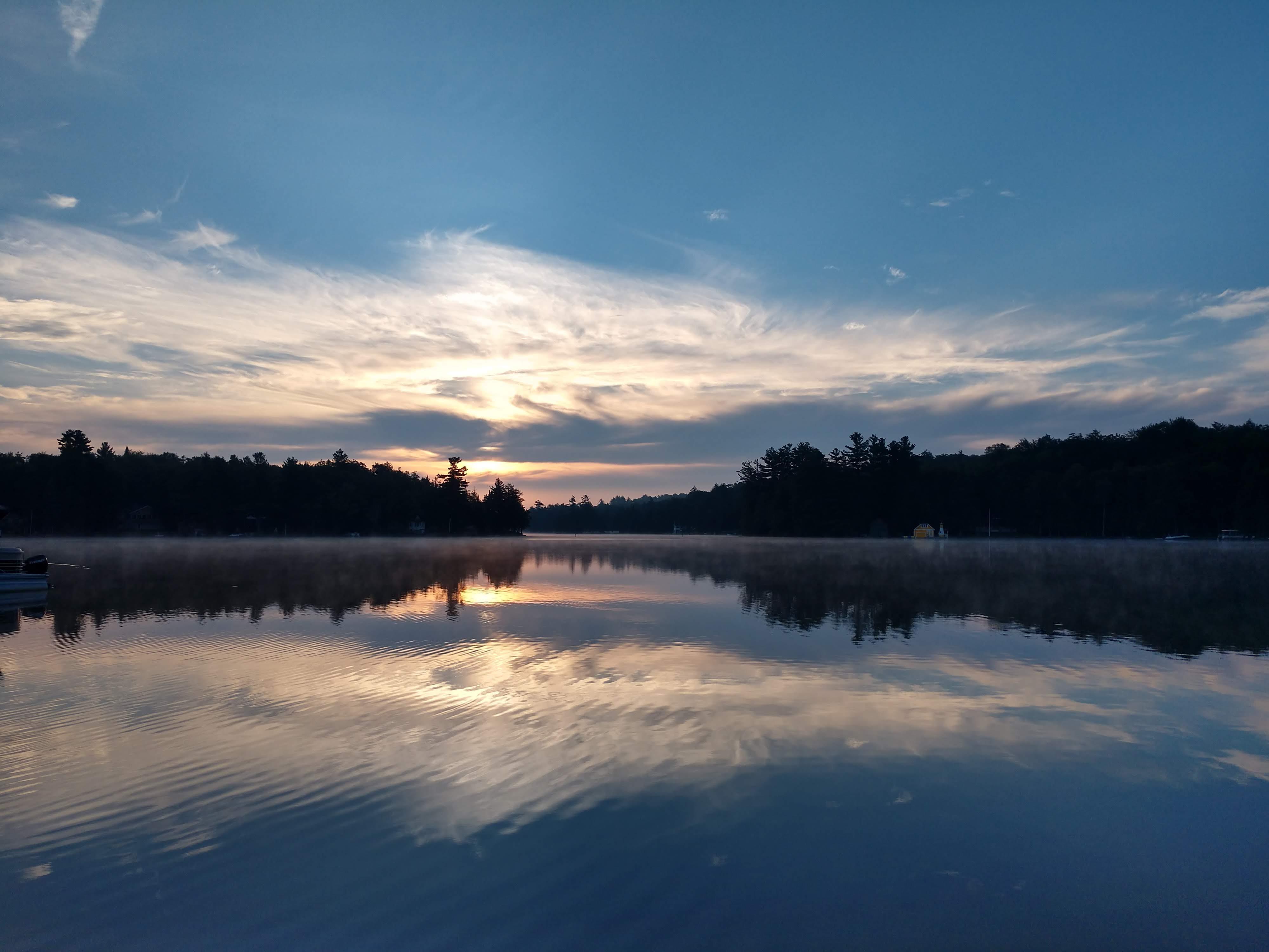 The pond near my house r/pics