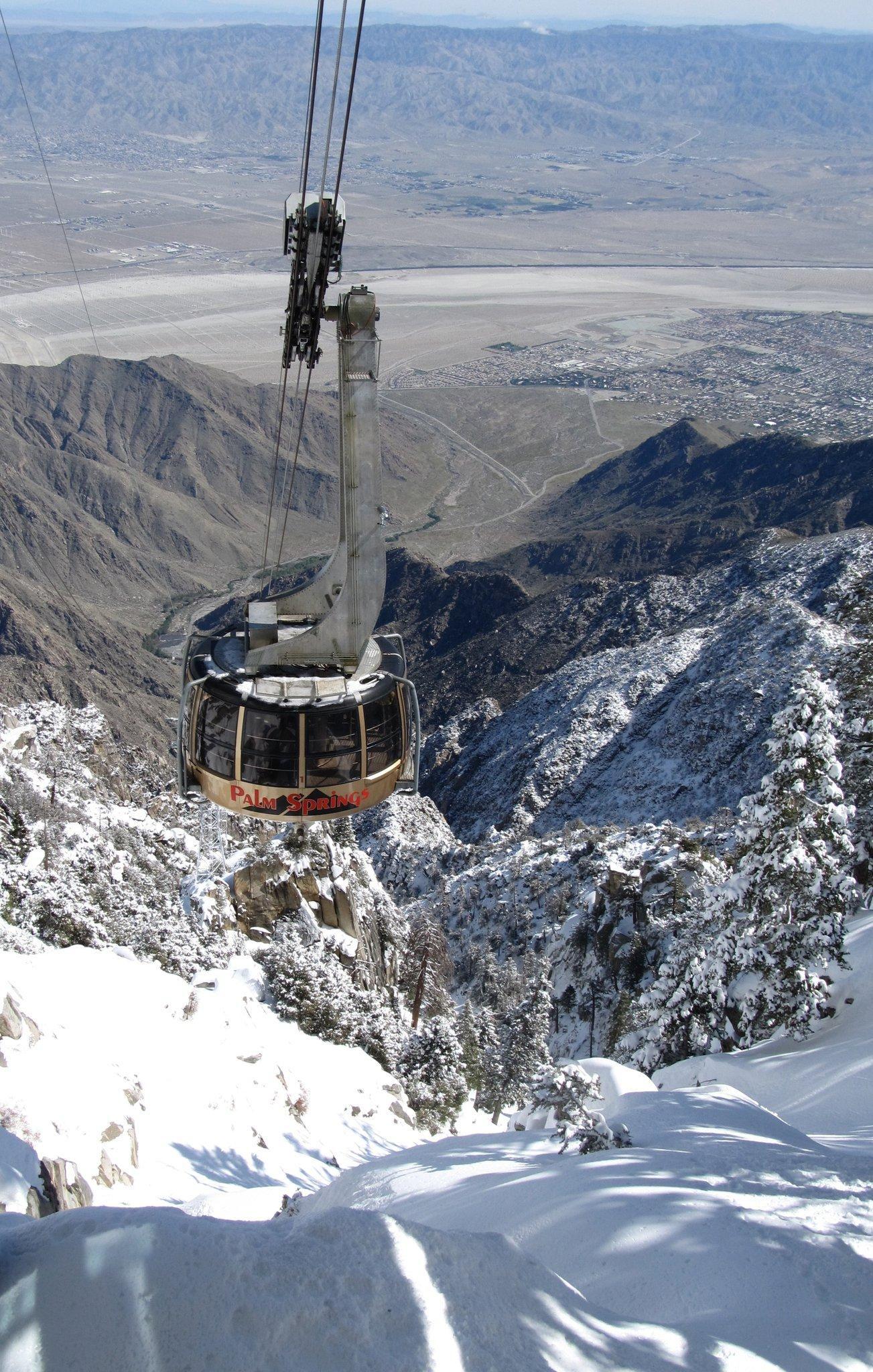 The Palm Springs Mountain tram takes you from desert to snow in 15