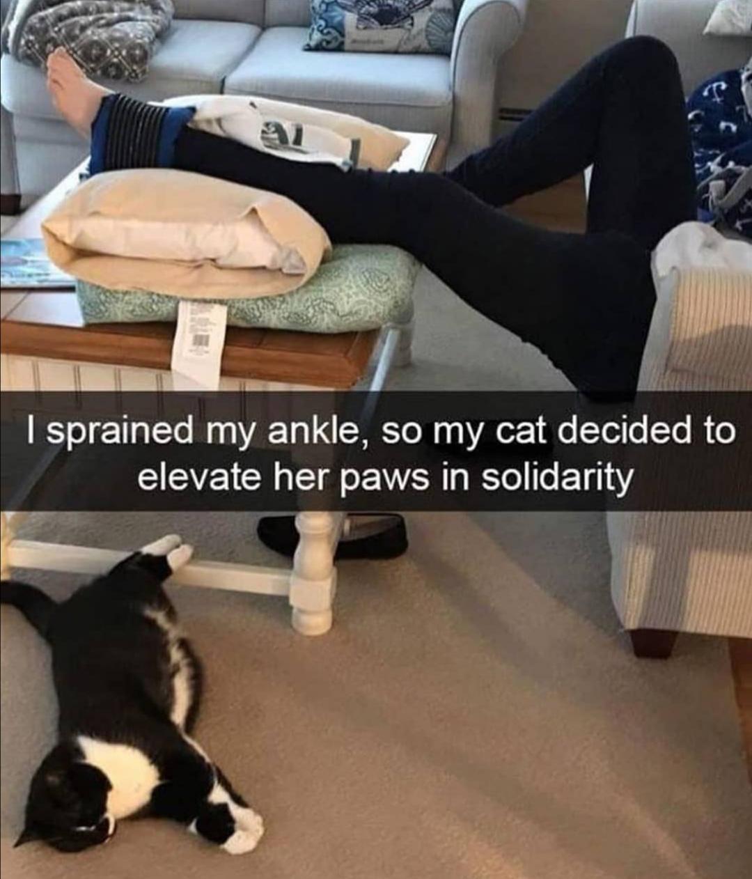 Cat raises its paws in solidarity after its owner sprains their ankle