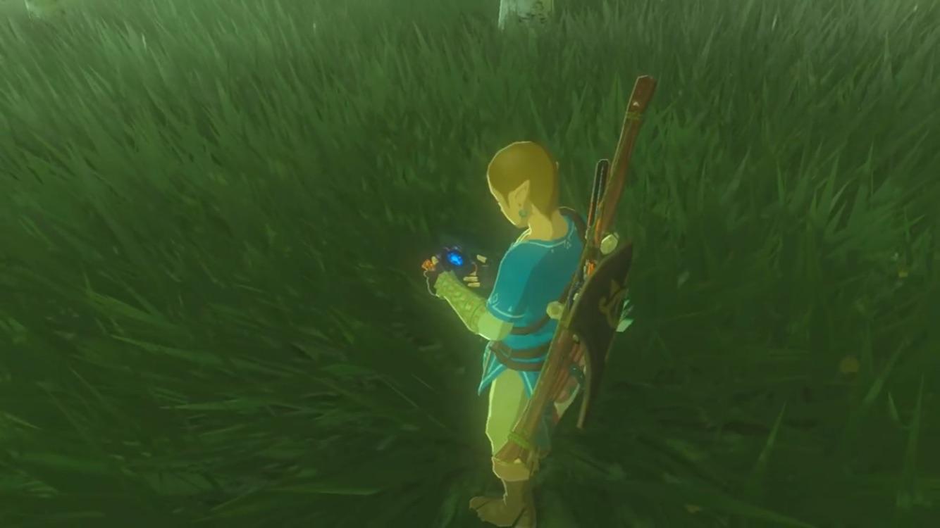 27 Link Botw Hairstyle Hairstyle Catalog