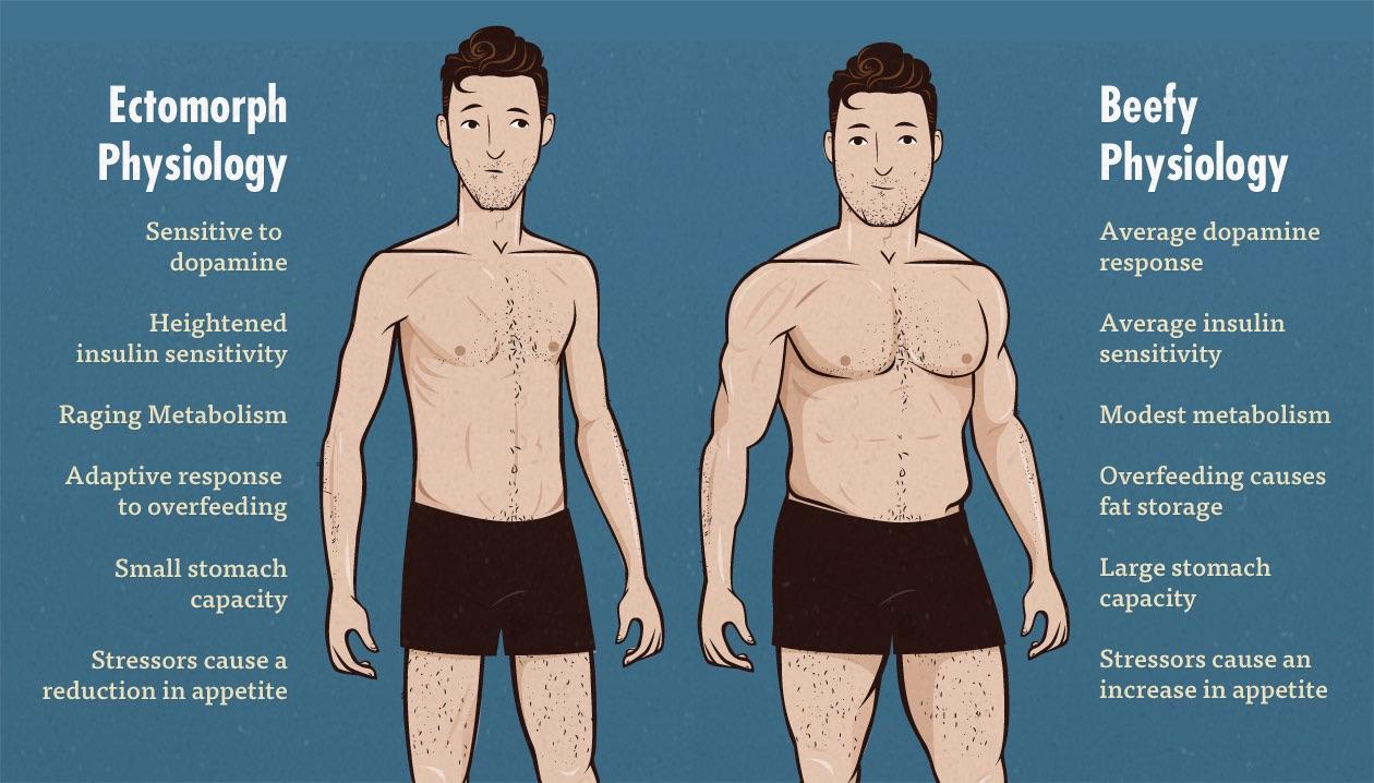 The Virgin Ectomorph vs The CHAD BEEF MASTER virginvschad