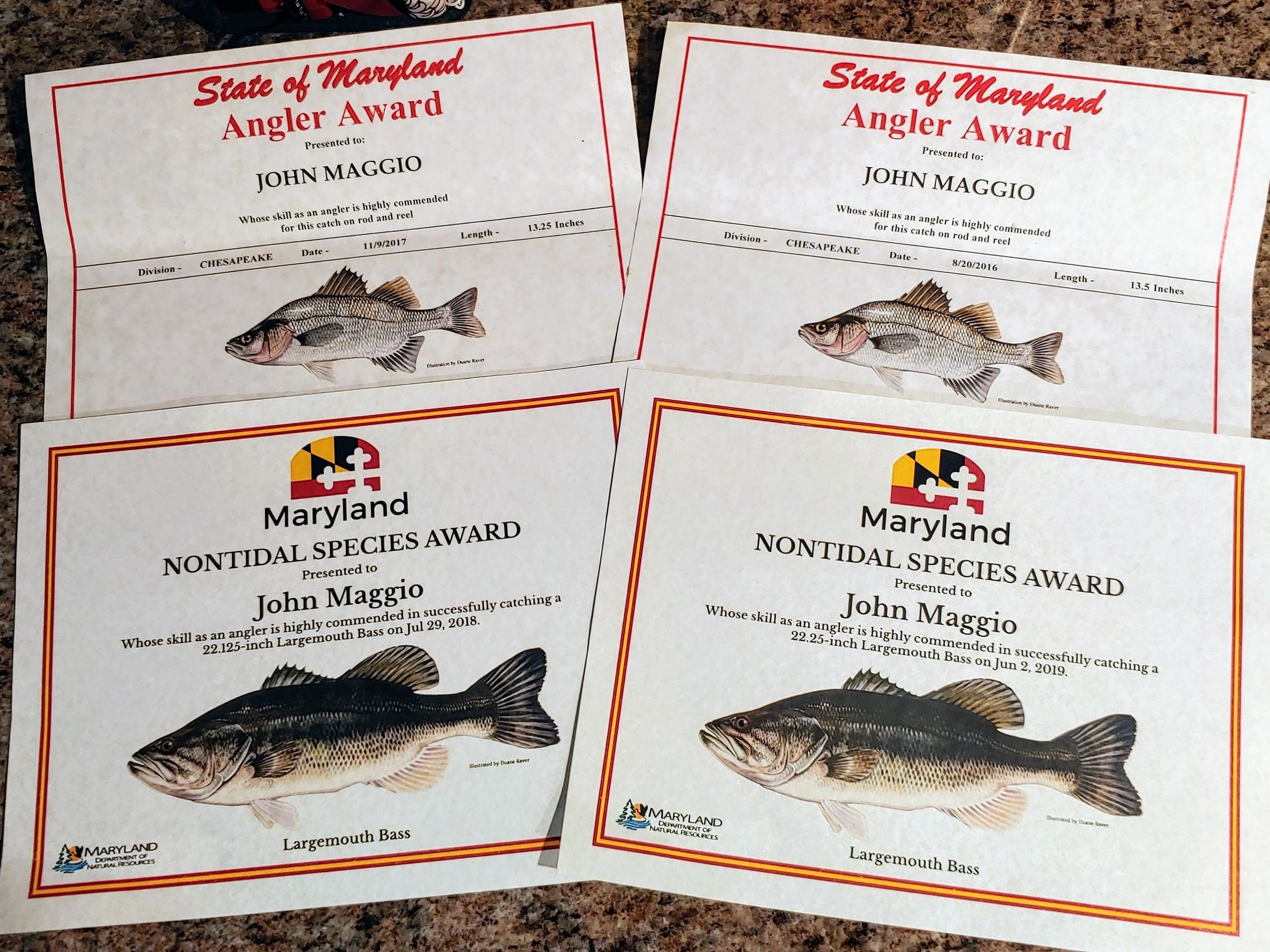 From the bay to the mountains, everything about fishing in Maryland