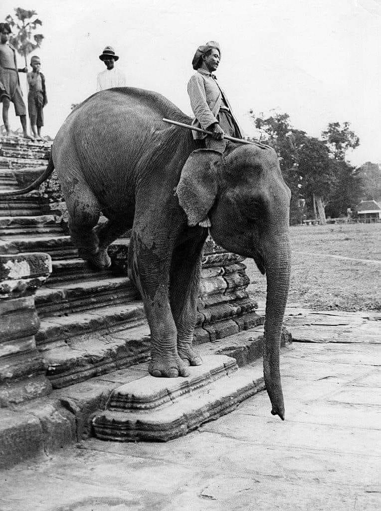 Old pictures of elephant ride in Angkor wat 1931 AD r/cambodia