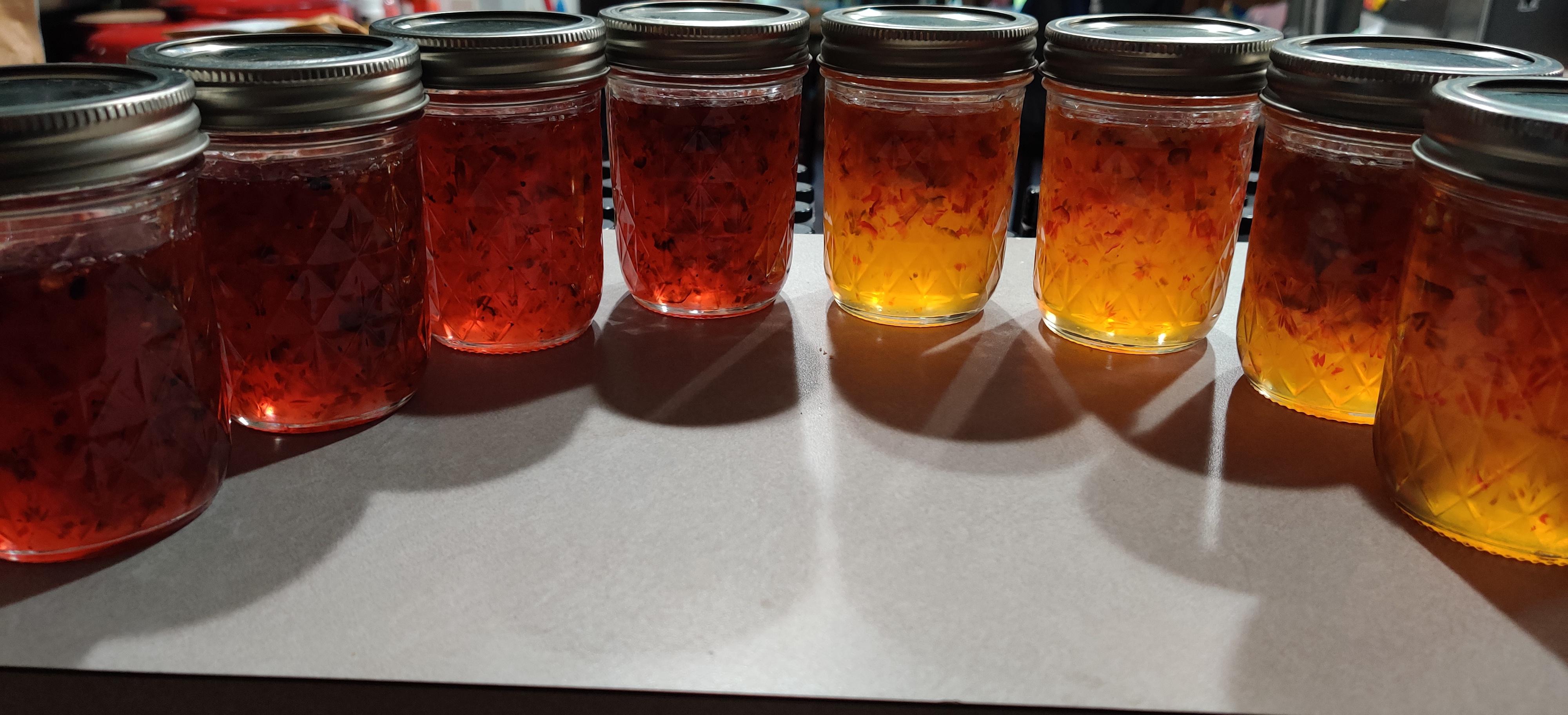 Pepper jelly is ready! Used a blend of superhots from our backyard farm