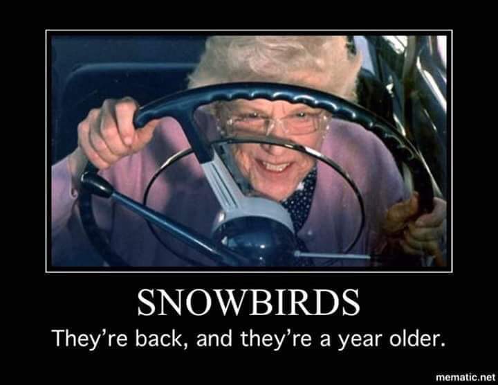 It's snowbird season r/arizona
