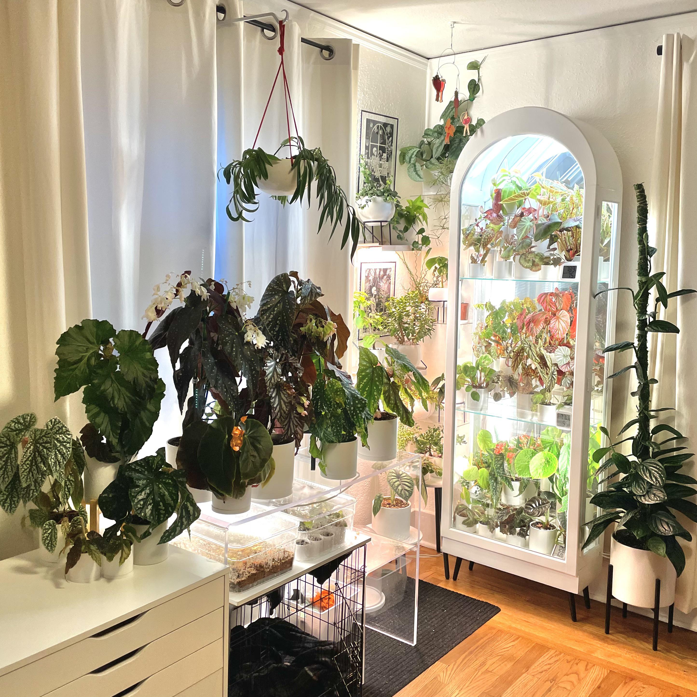 Anyone else get secretly stoked when their plants come back inside for